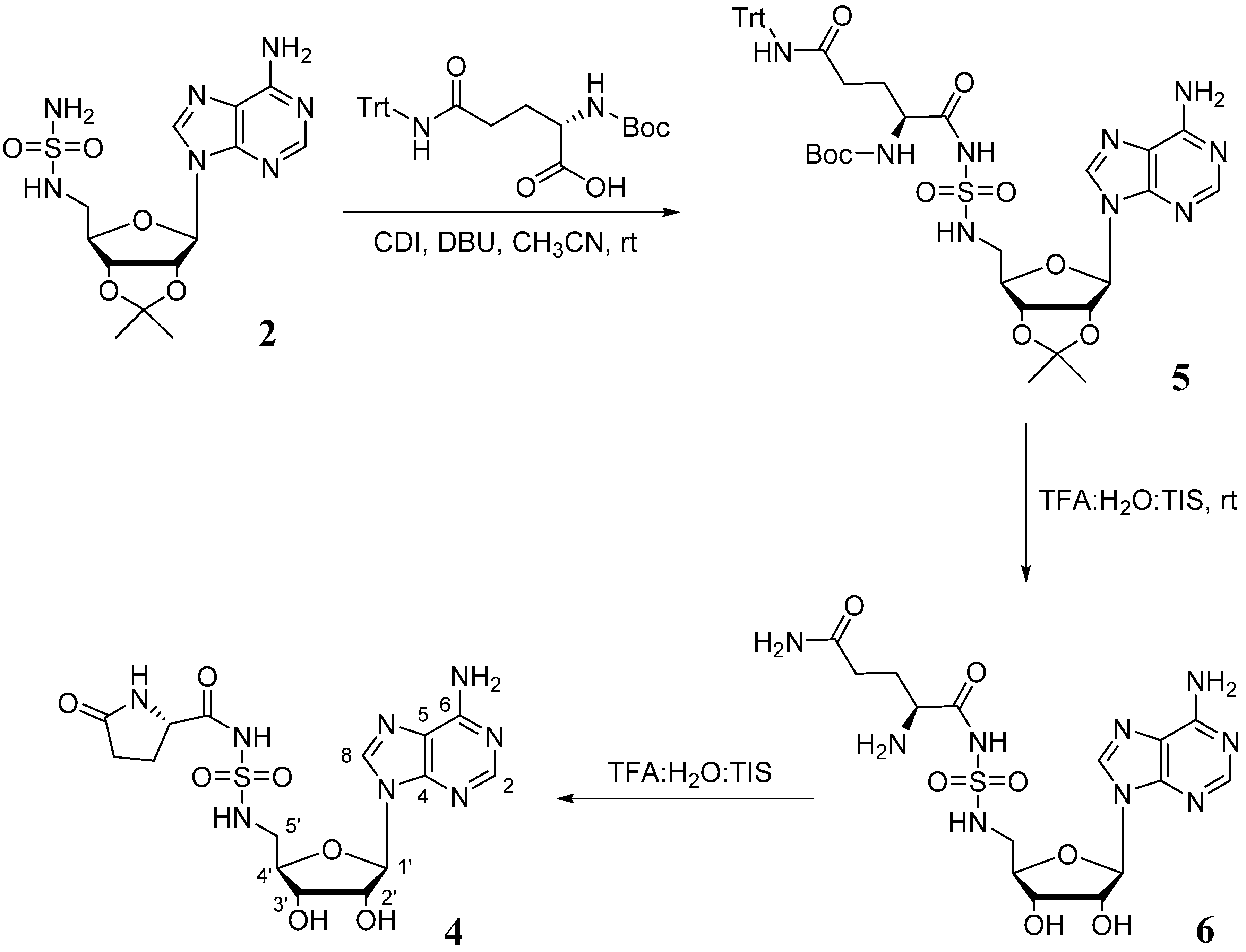 Molbank 2015 m864 sch002
