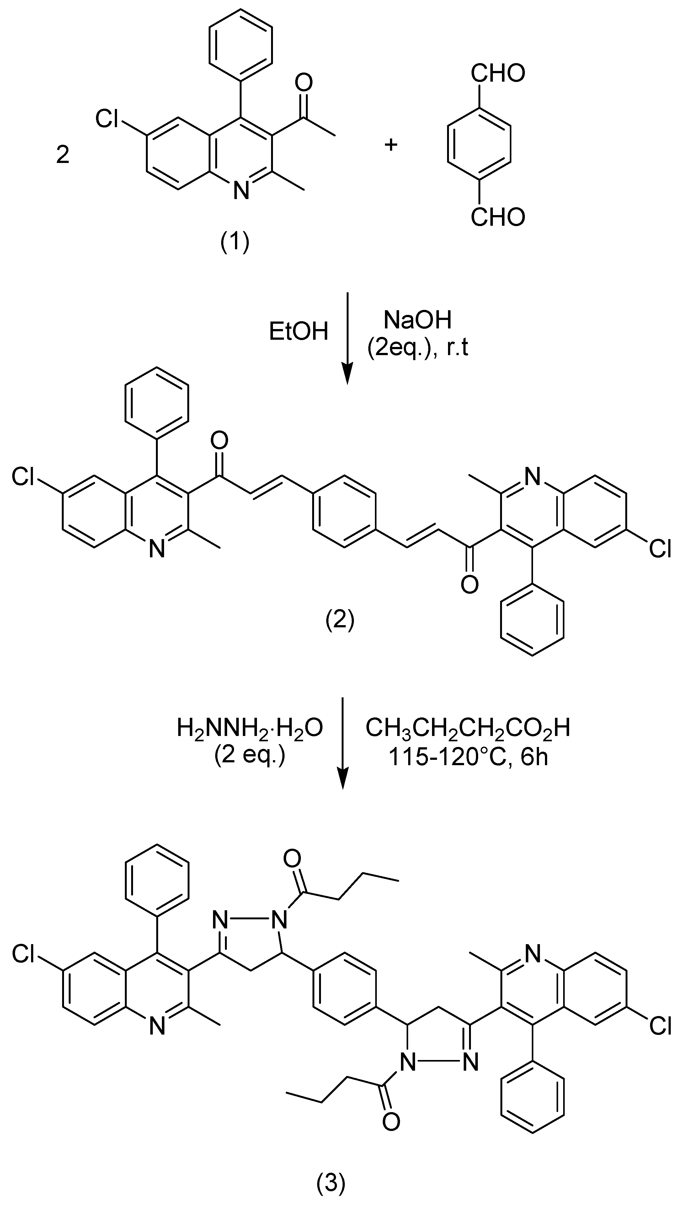 Molbank 2015 m868 sch001