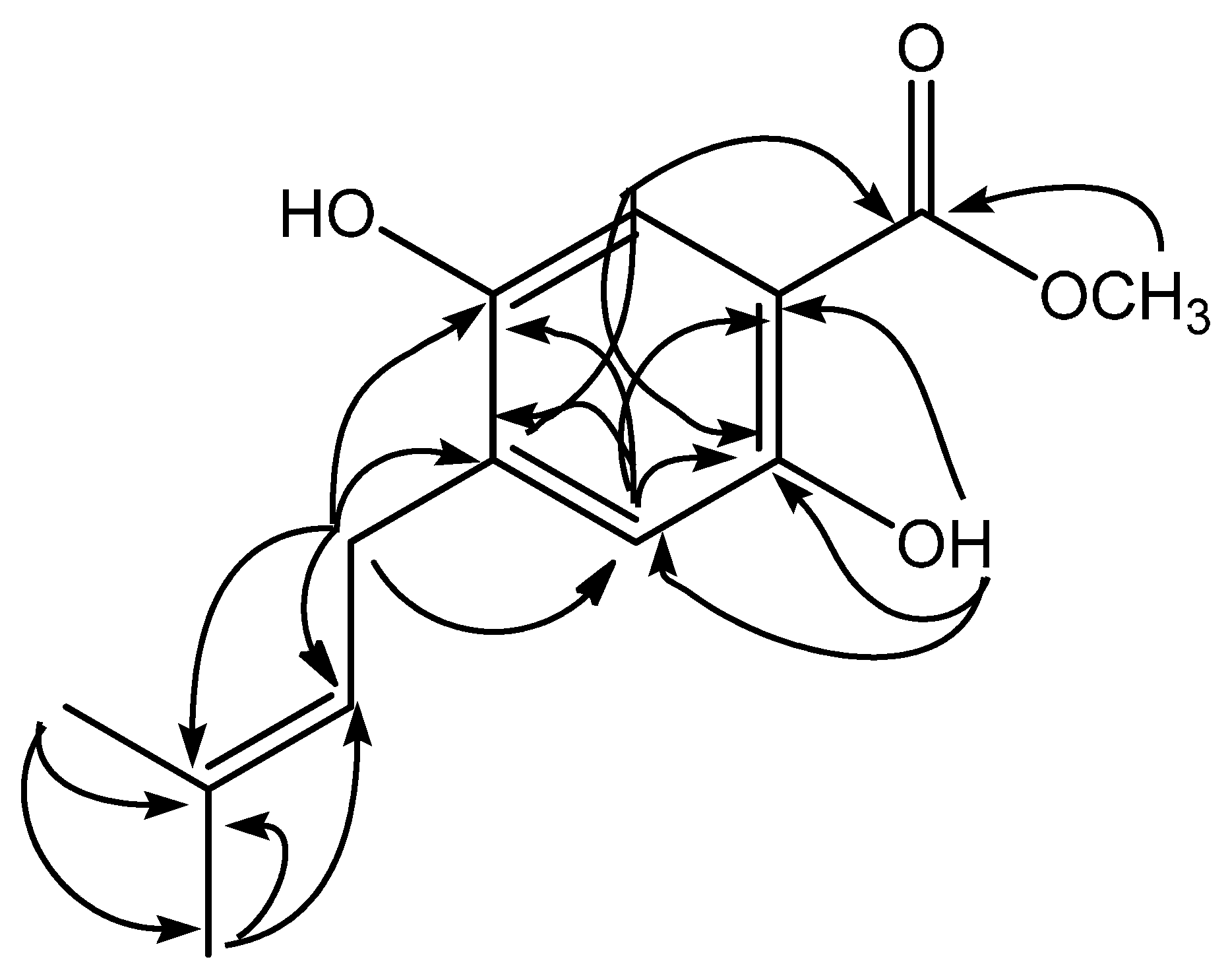 Molbank 2016 m892 g002