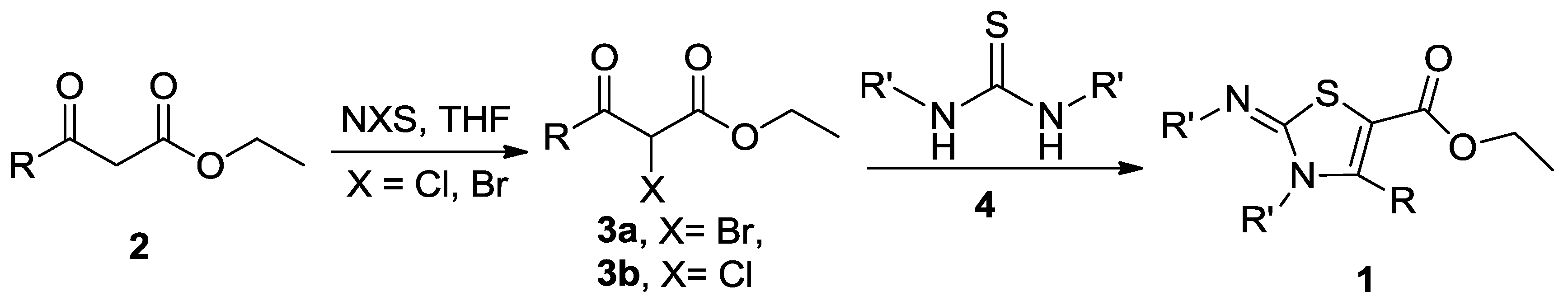 Molbank 2016 m919 sch001