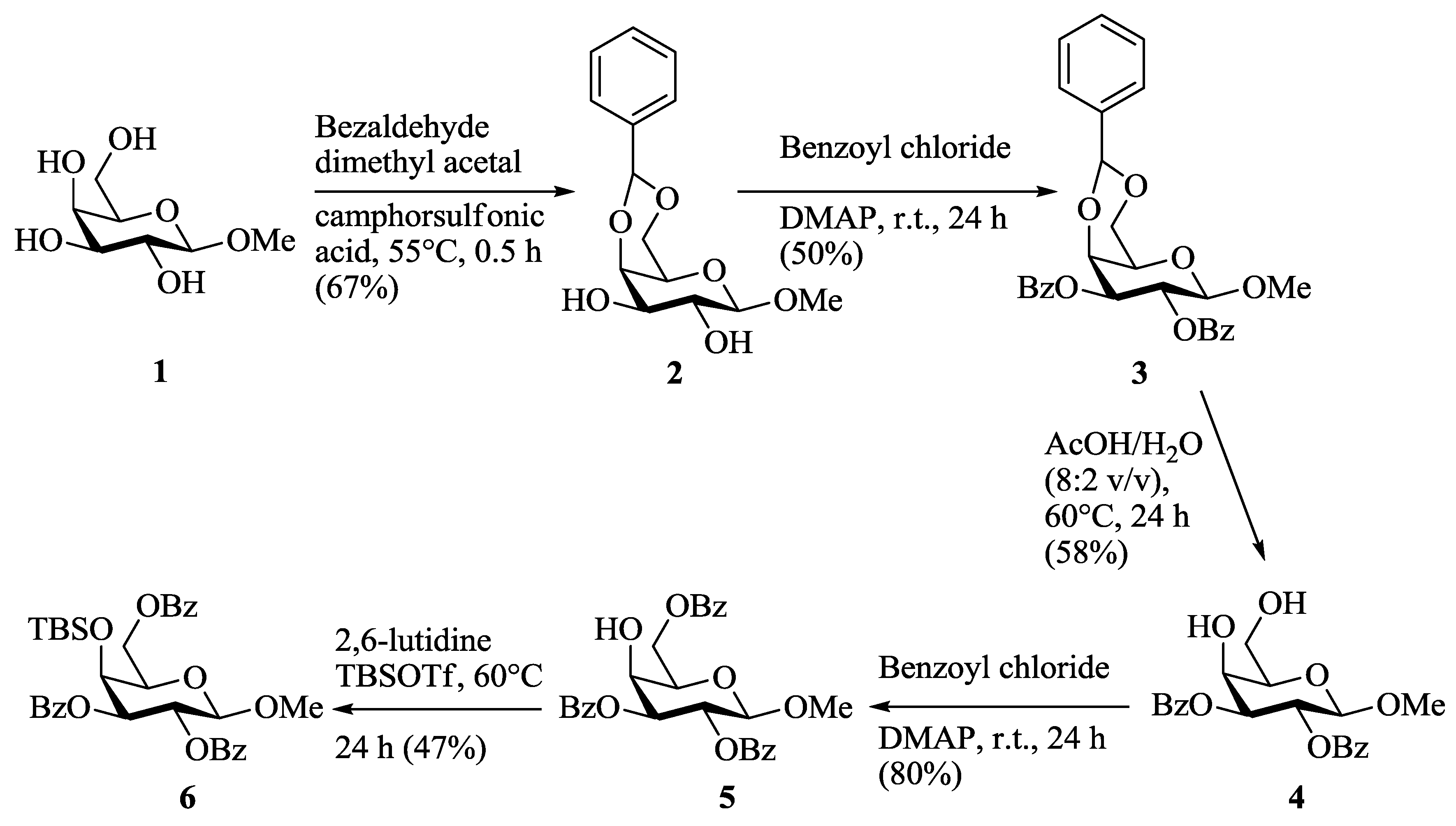 Molbank 2017 m935 sch001