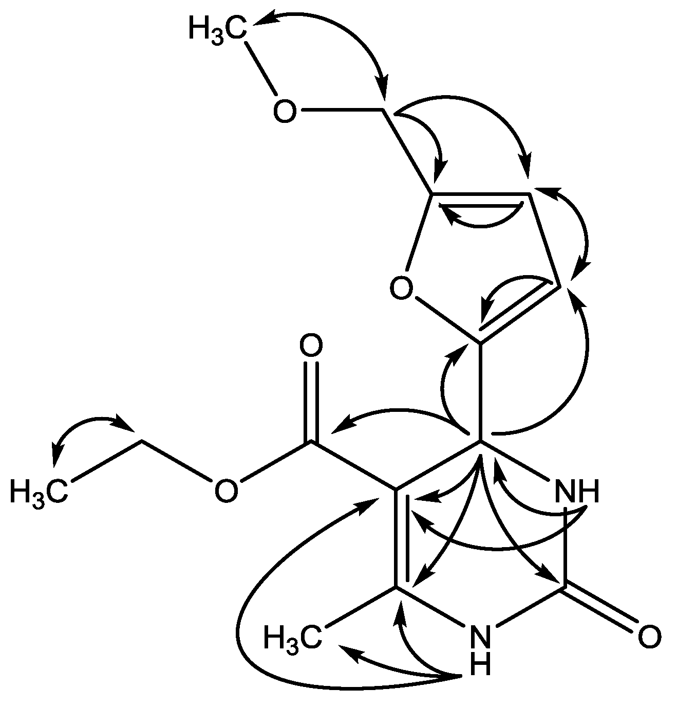 Molbank 2017 m954 g003