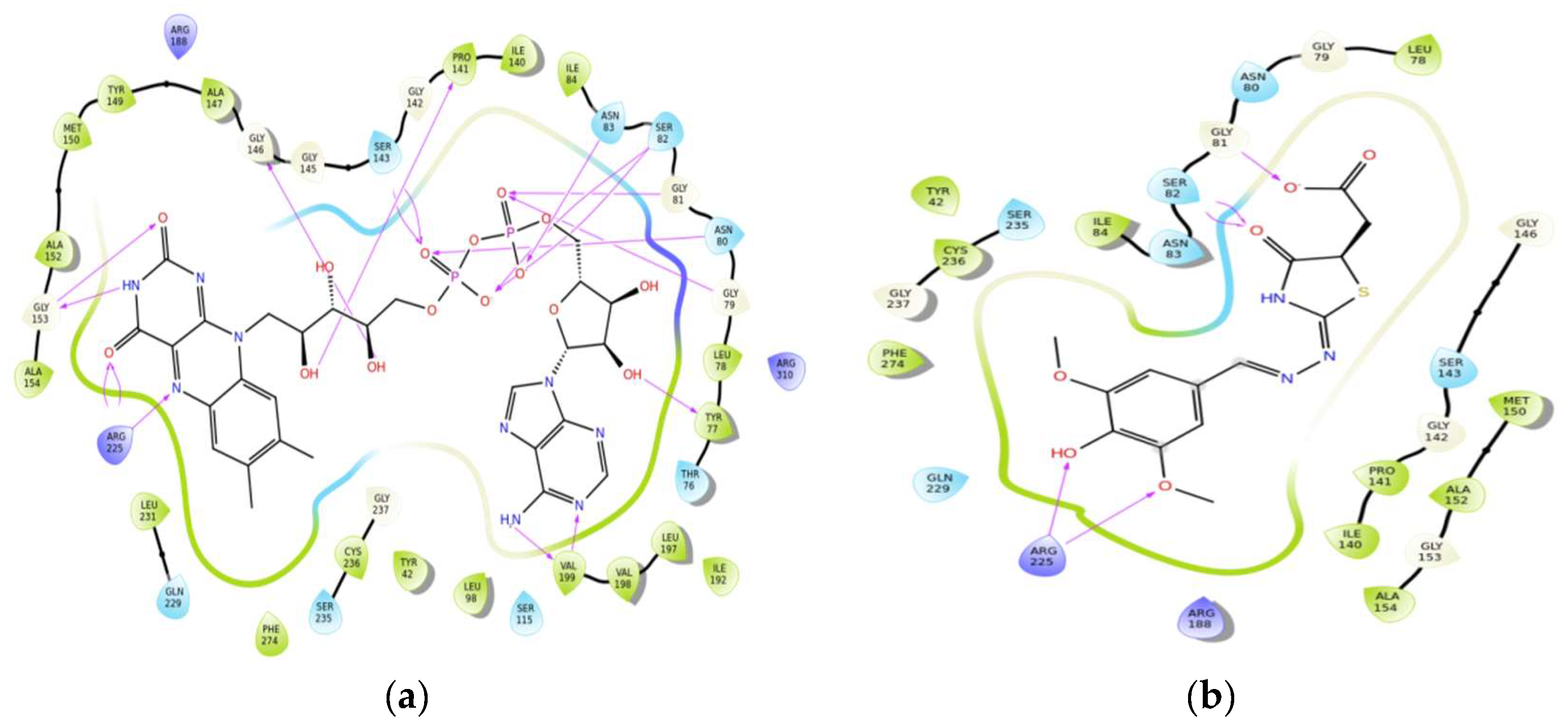 Molbank 2018 m1009 g001