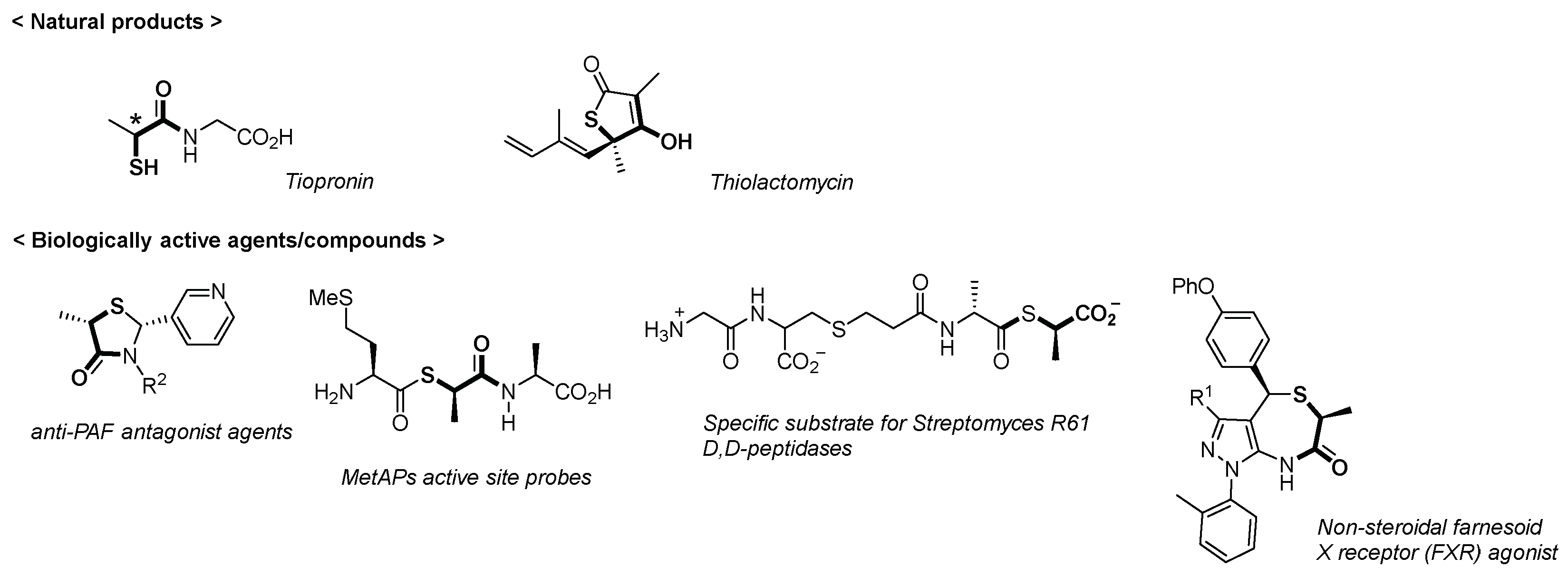 Molbank 2018 m1010 g002