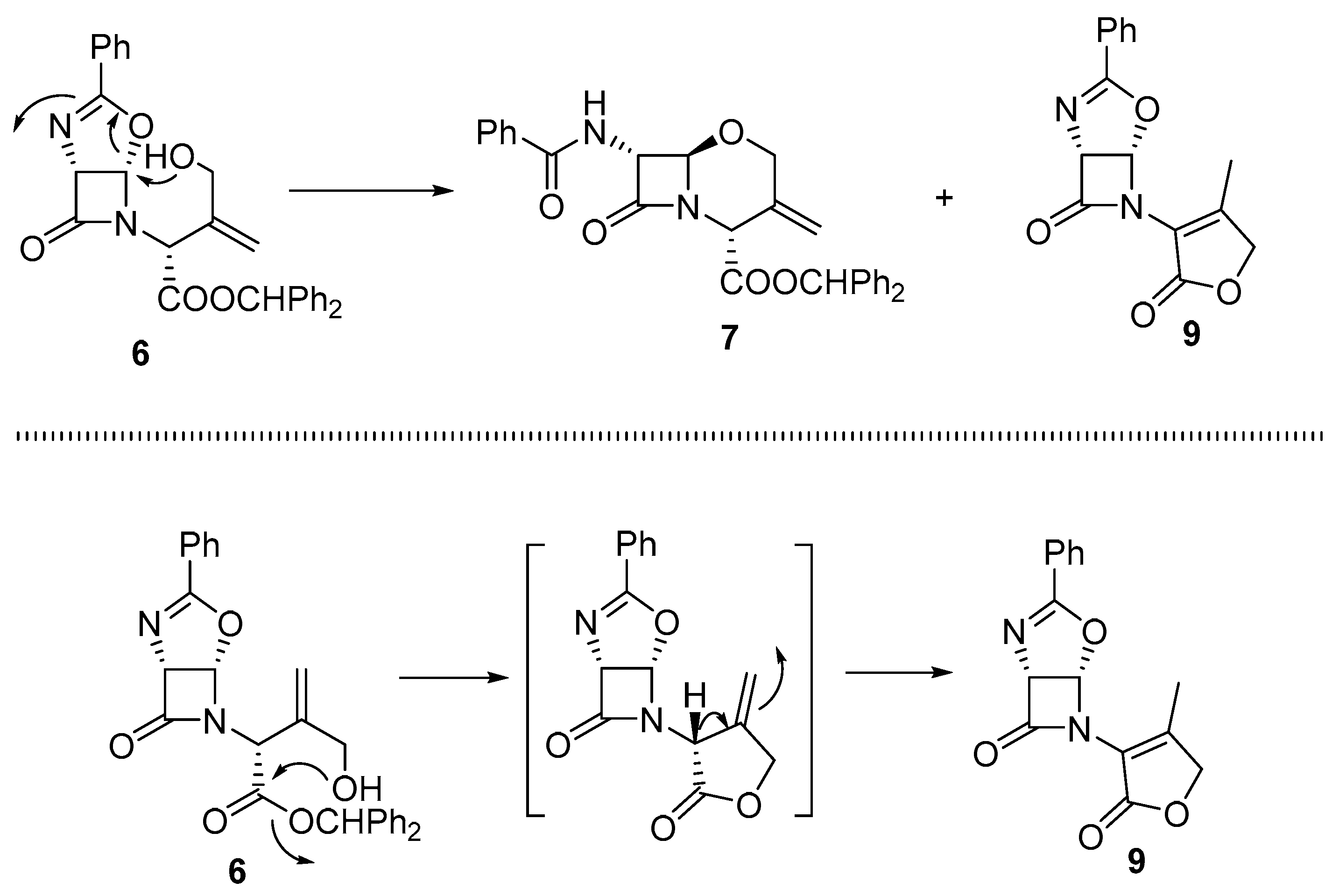 Molbank 2018 m1016 sch001 Molbank 2018 m1016 sch001