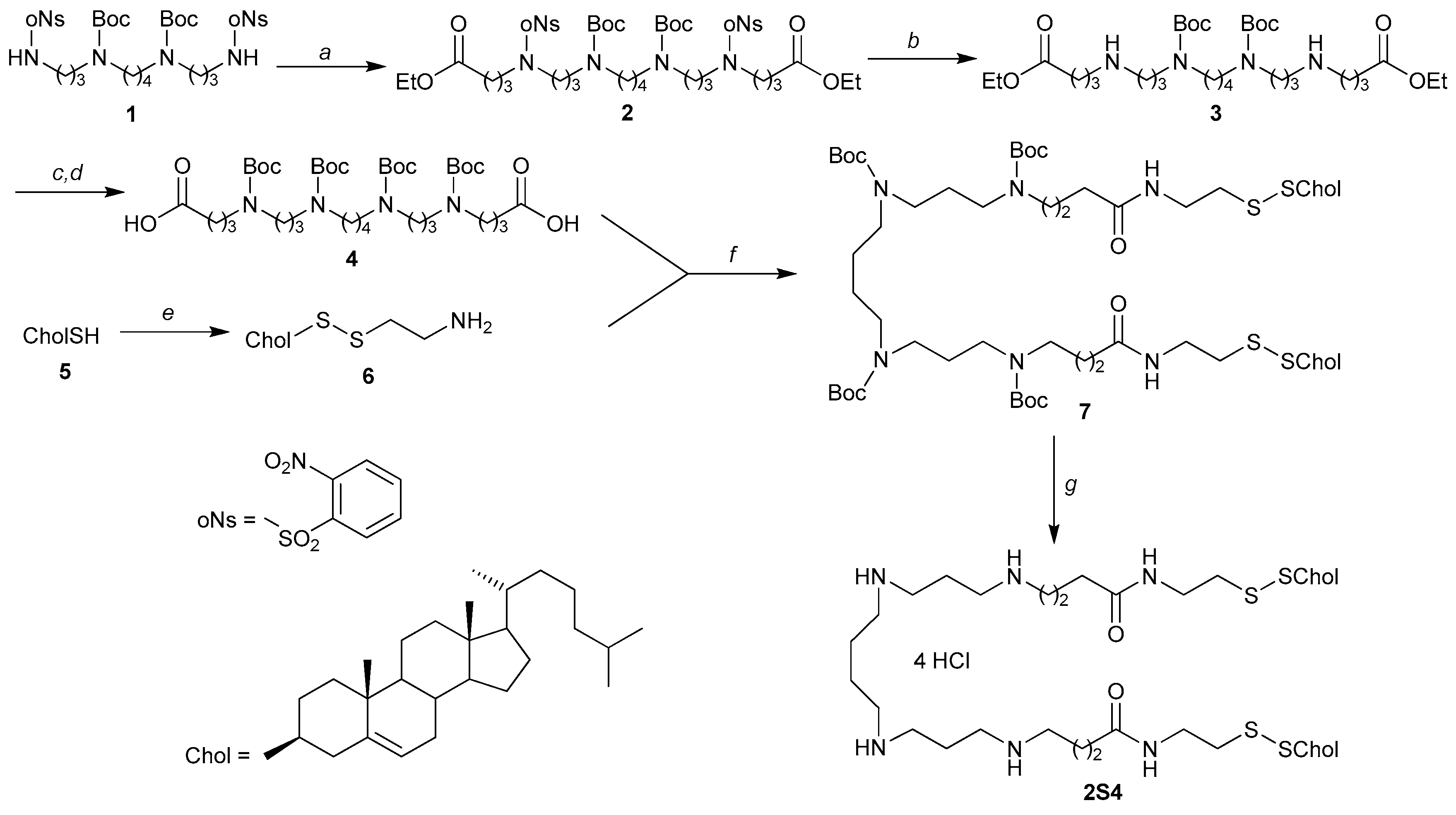 Molbank 2018 m981 sch001