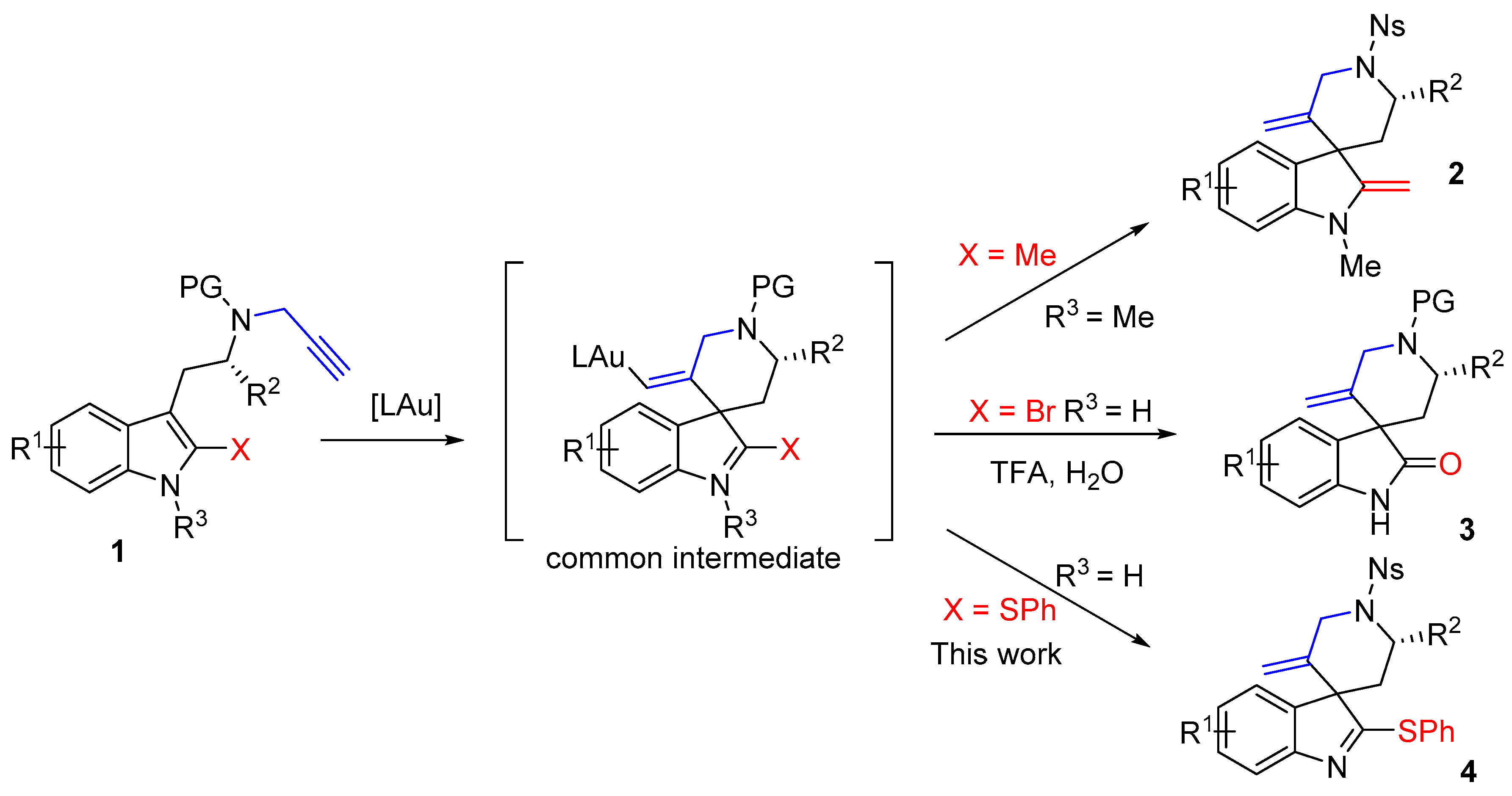 Molbank 2018 m985 sch001 550
