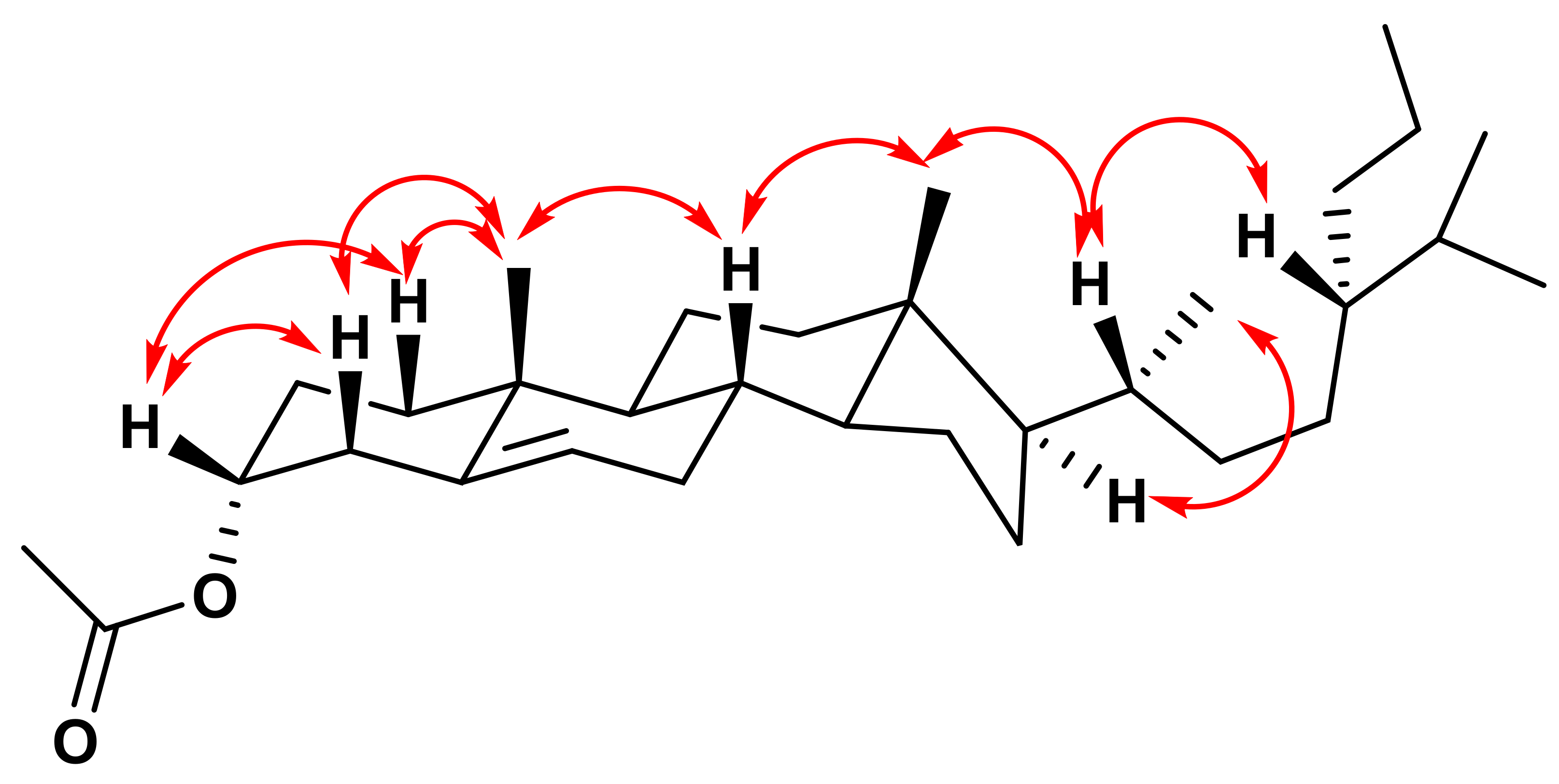 Molbank 2020 m1112 g003