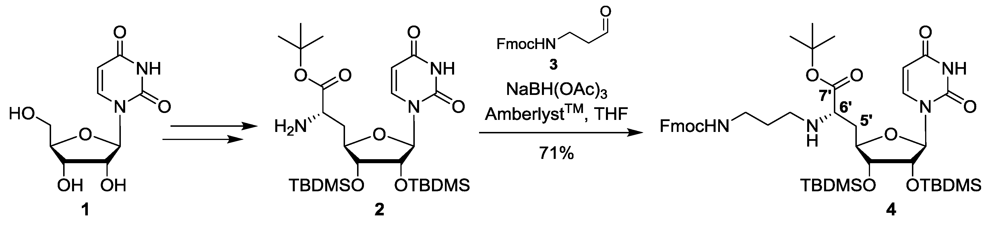 Molbank 2020 m1122 sch001