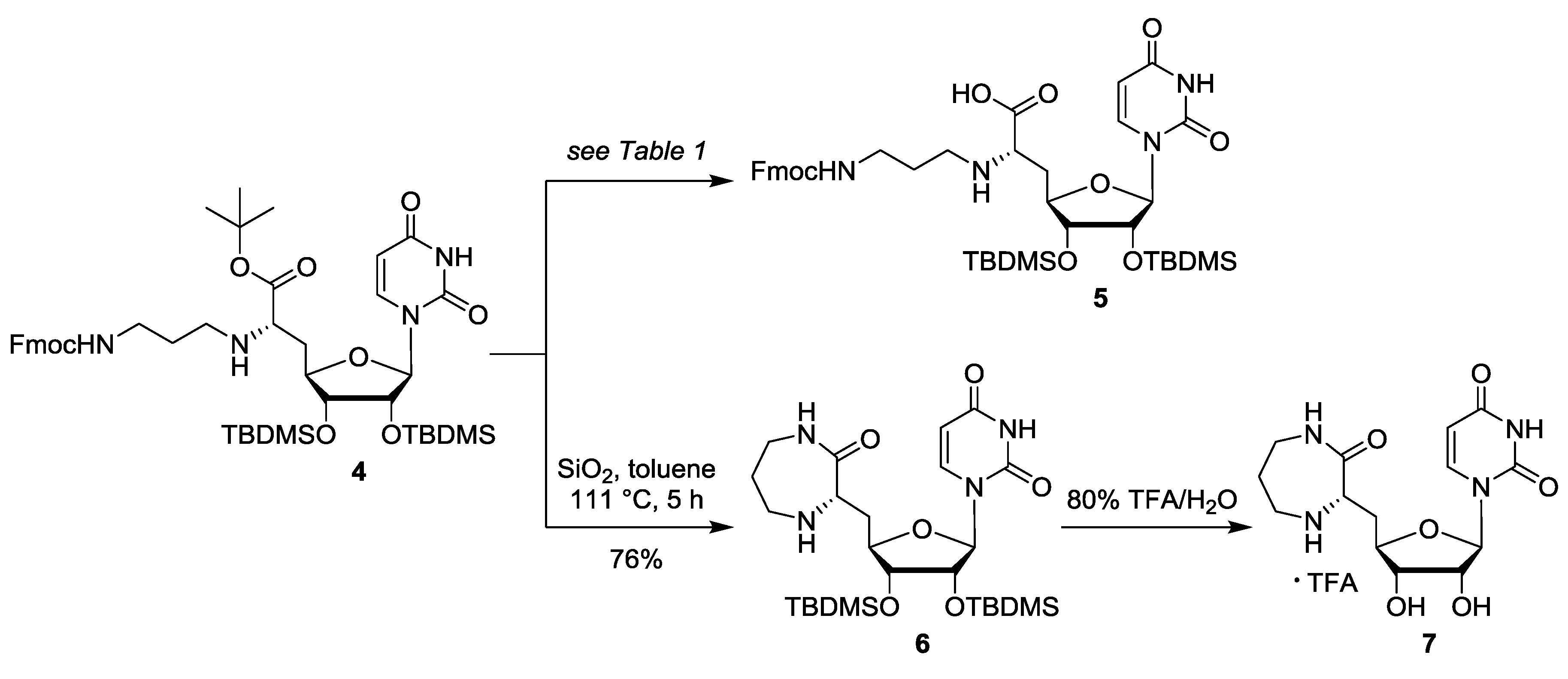 Molbank 2020 m1122 sch002