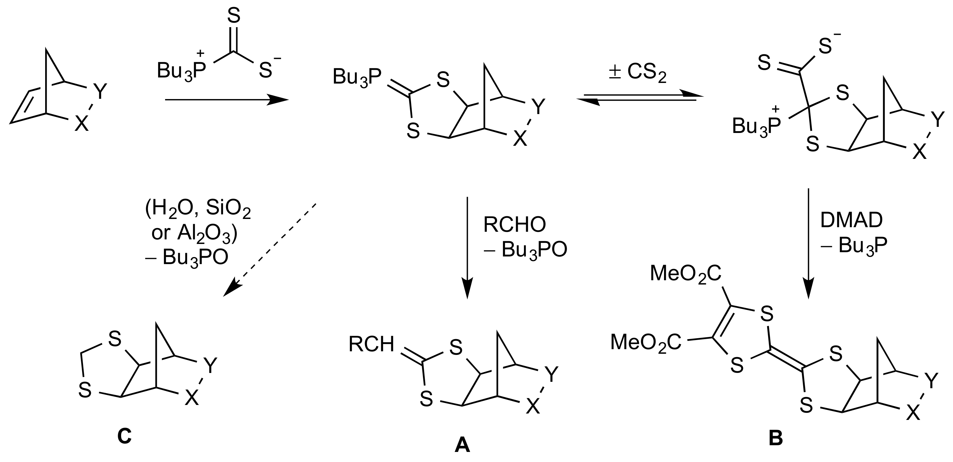 Molbank 2020 m1123 sch001 Molbank 2020 m1123 sch001