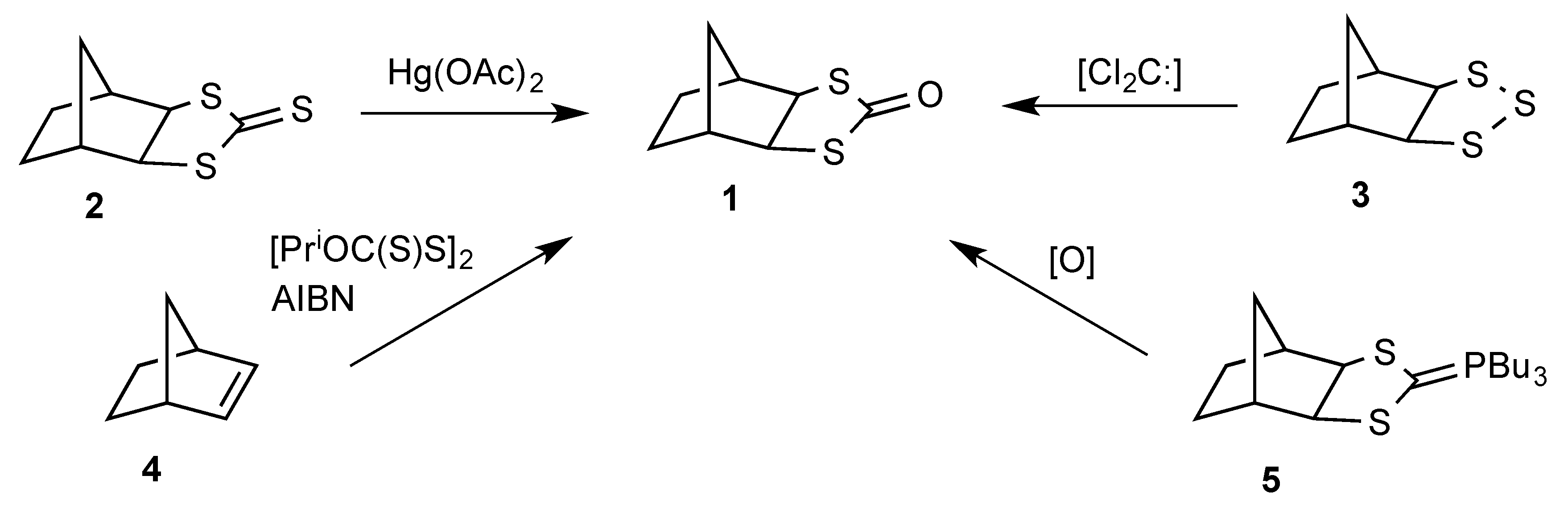 Molbank 2020 m1126 sch001
