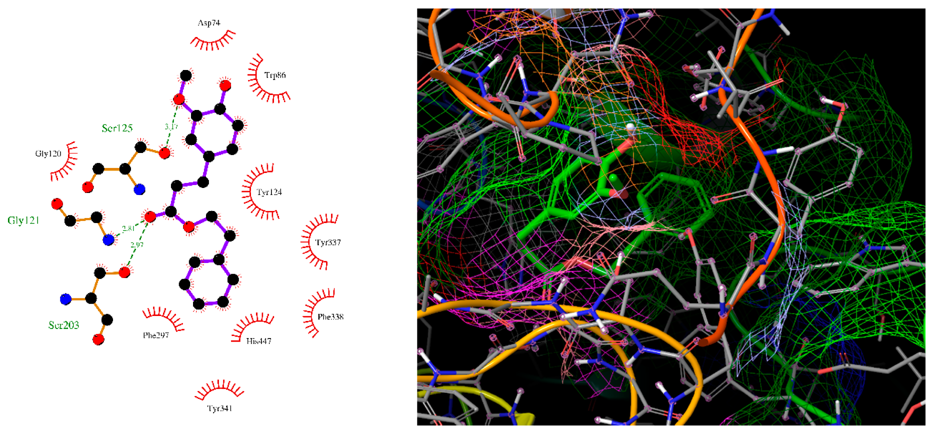 Molbank 2020 m1151 g002 Molbank 2020 m1151 g002