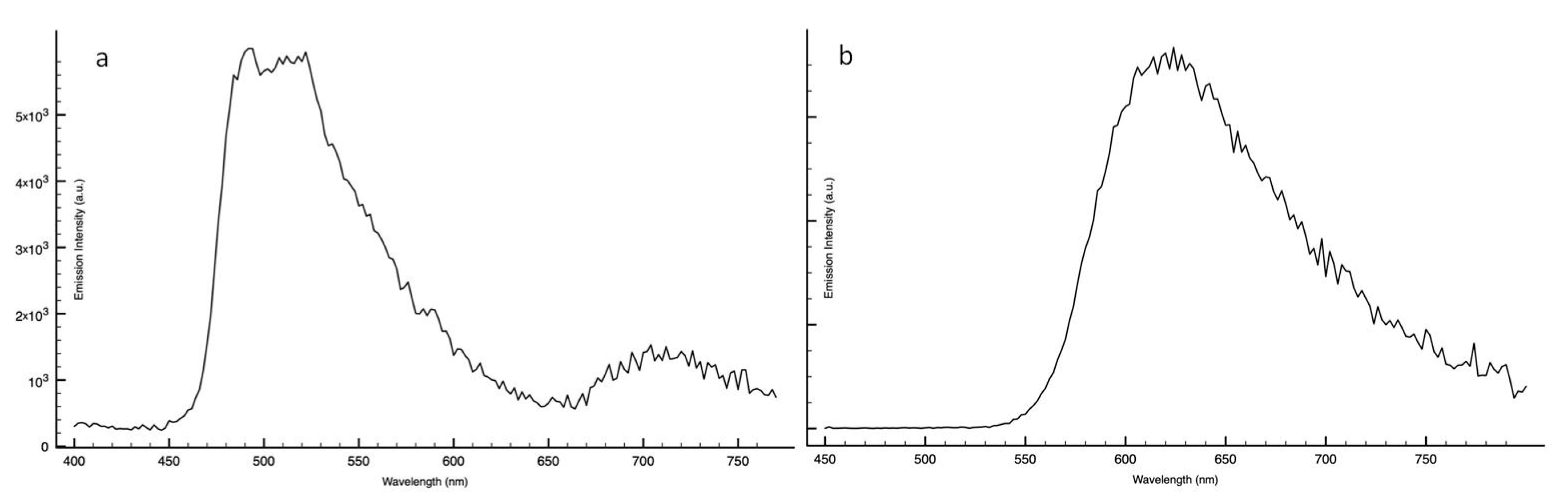 Molbank 2020 m1152 g003