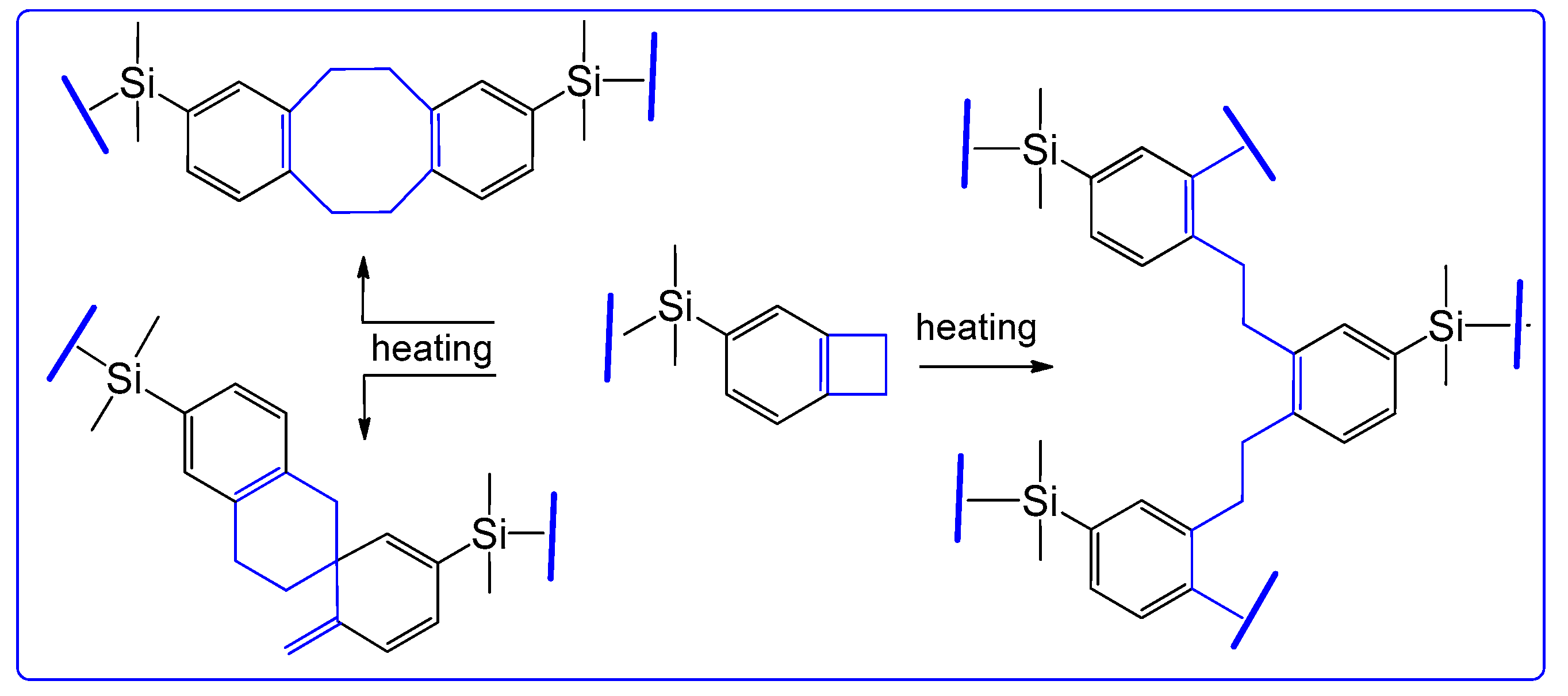 Molbank 2020 m1160 g002