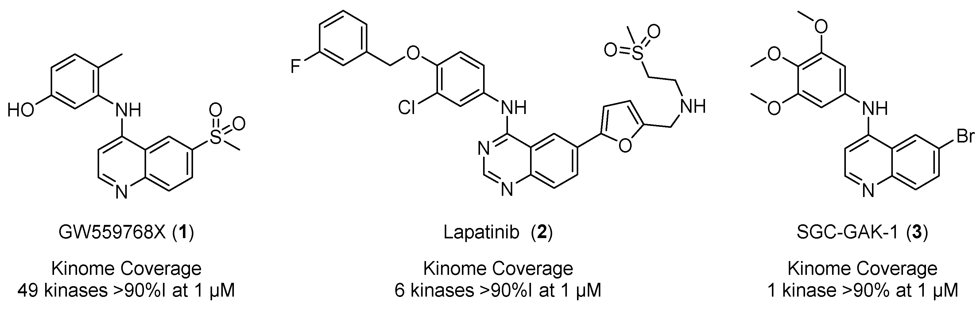 Molbank 2020 m1161 g001