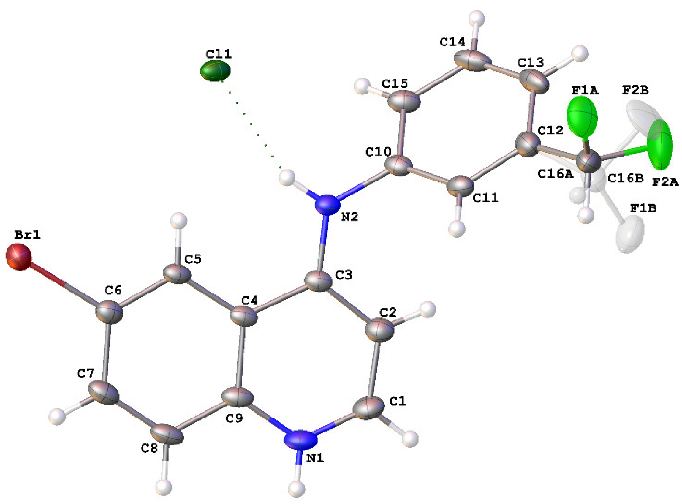 Molbank 2020 m1161 g003