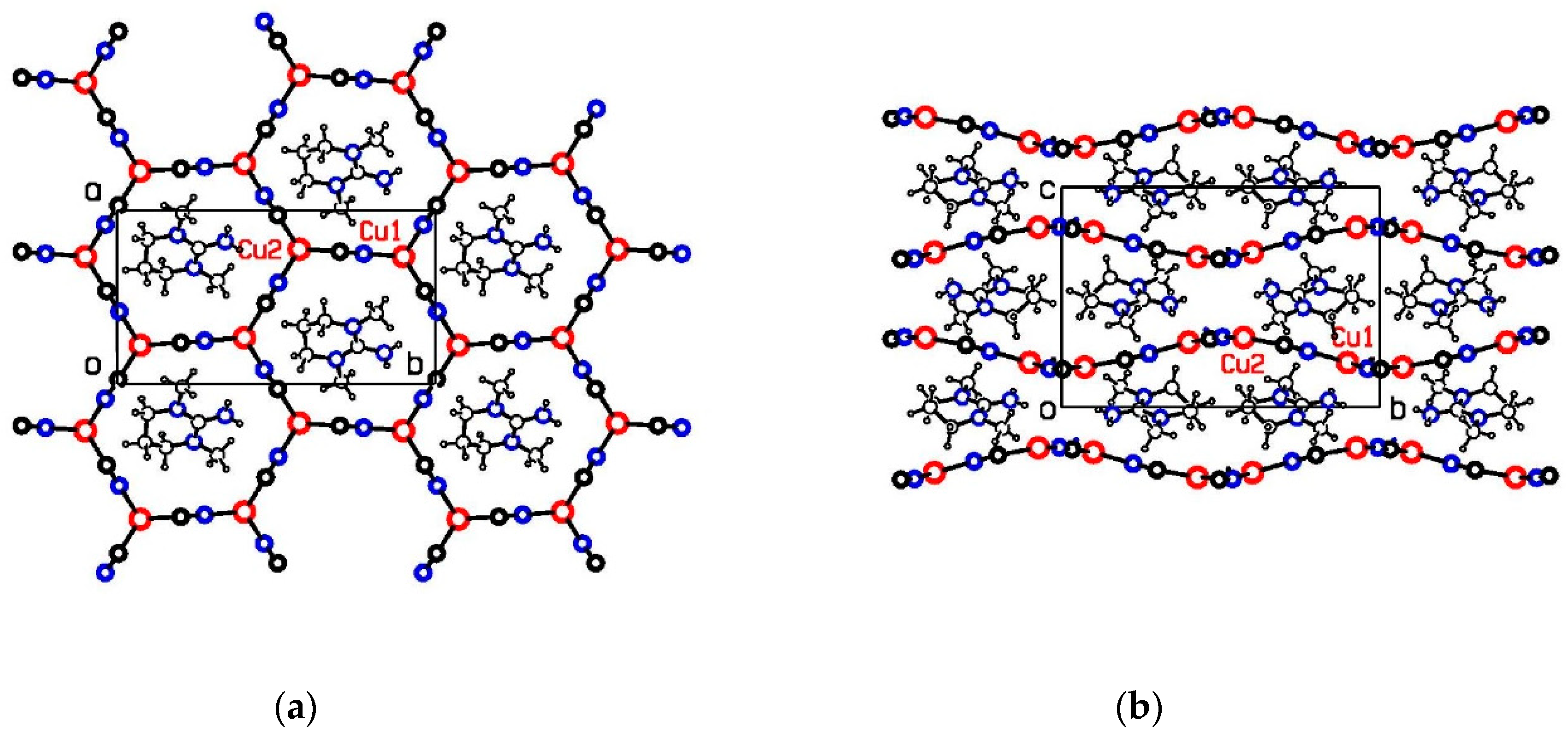 Molbank 2020 m1170 g002 Molbank 2020 m1170 g002