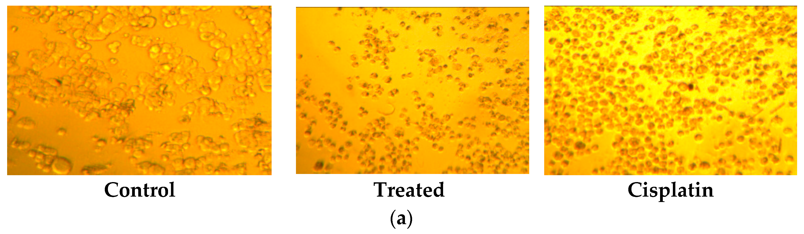 Molbank 2020 m1173 g002a Molbank 2020 m1173 g002a