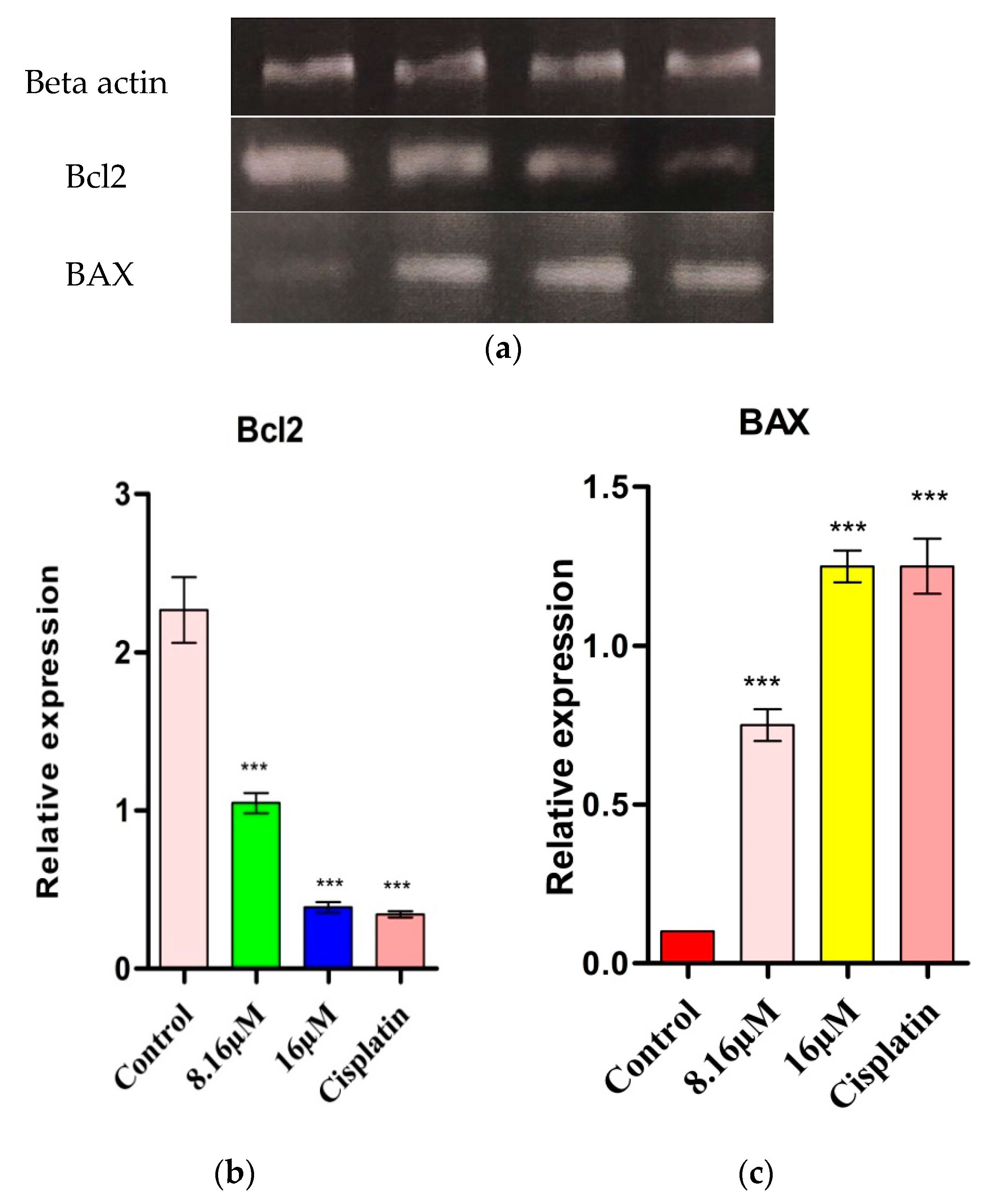 Molbank 2020 m1173 g003 Molbank 2020 m1173 g003