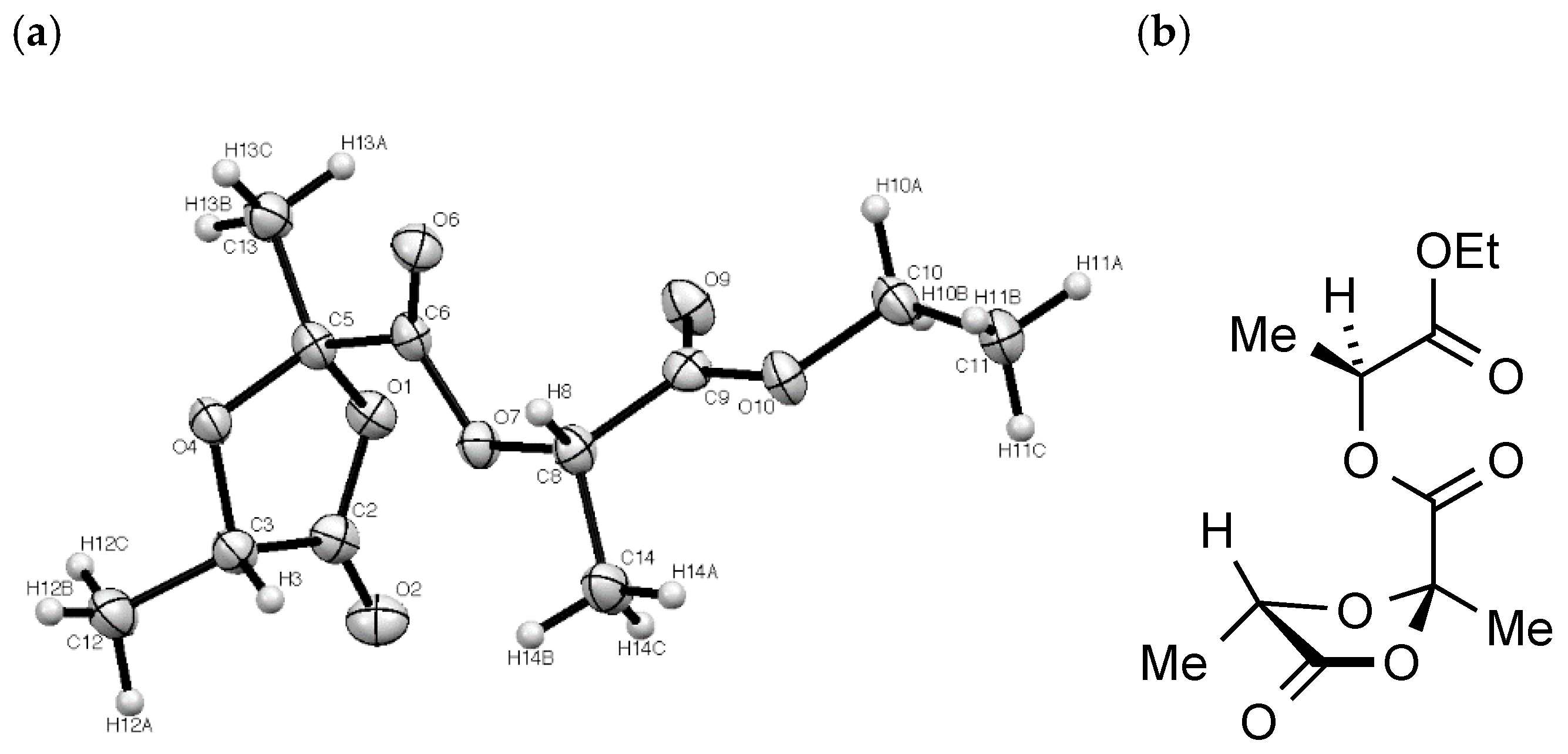Molbank 2021 m1178 g003