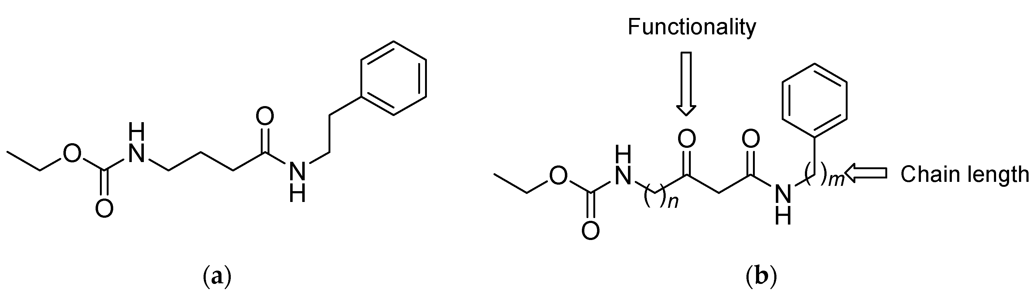 Molbank 2021 m1188 g001