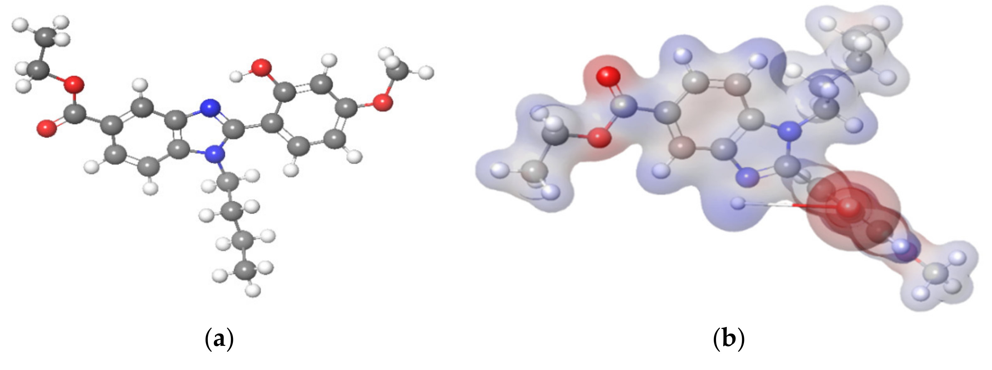 Molbank 2021 m1192 g004 Molbank 2021 m1192 g004