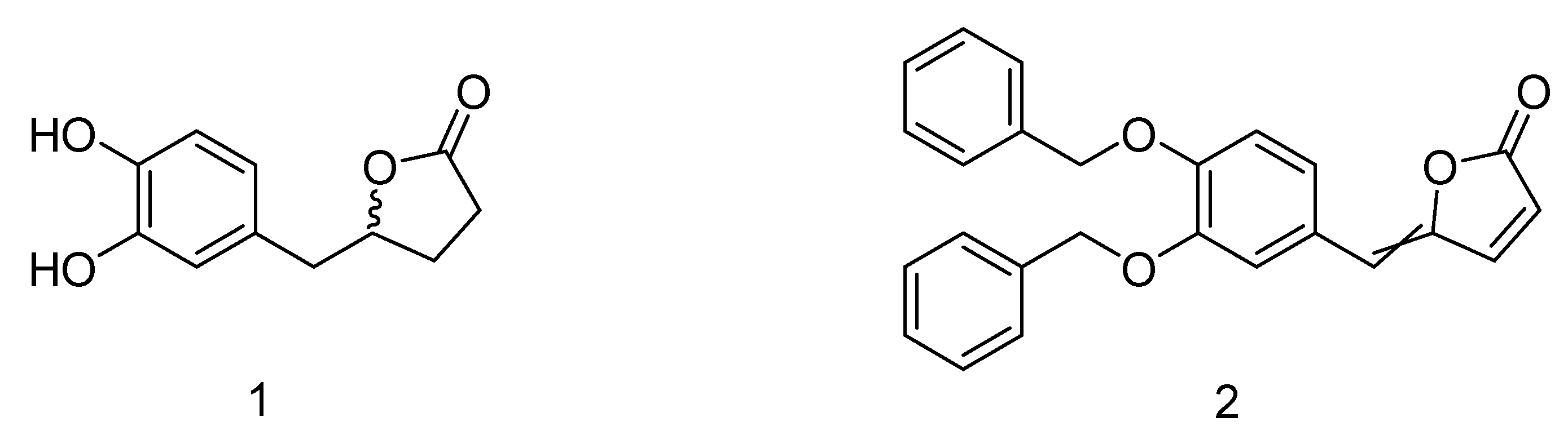 Molbank 2021 m1193 g001