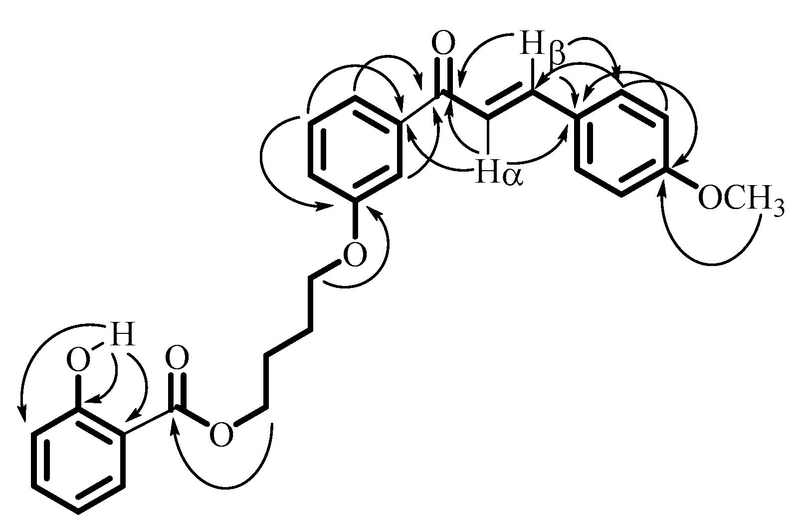 Molbank 2021 m1195 g002