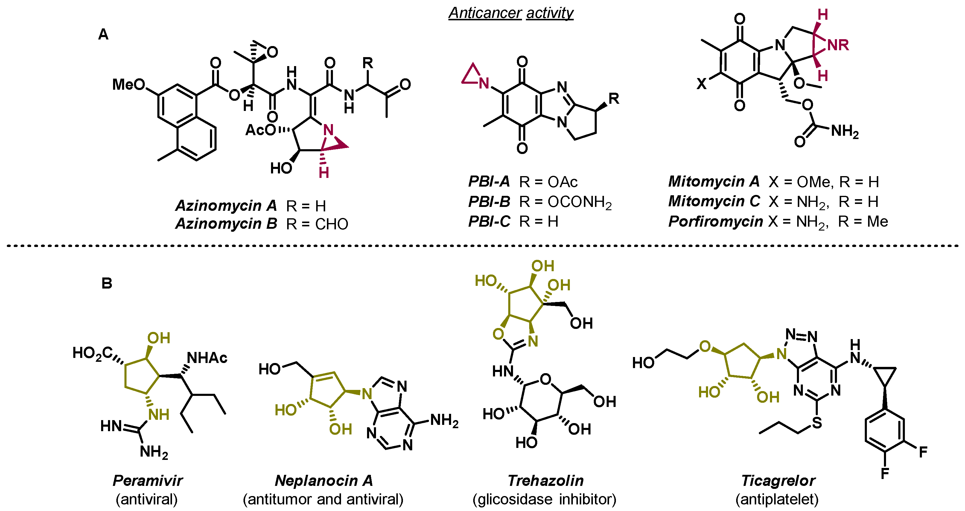 Molbank 2021 m1199 g001