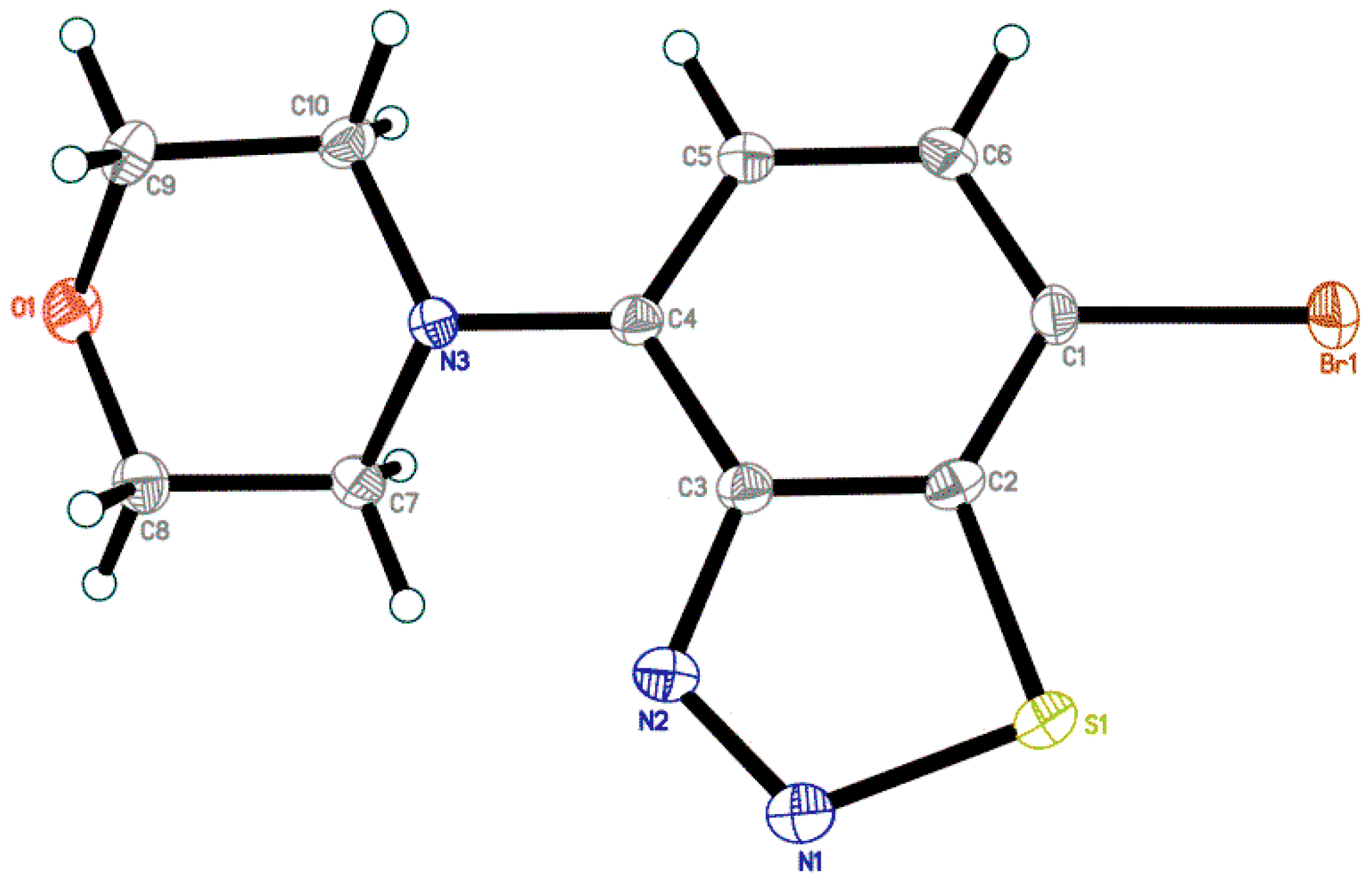 Molbank 2021 m1202 g001 550