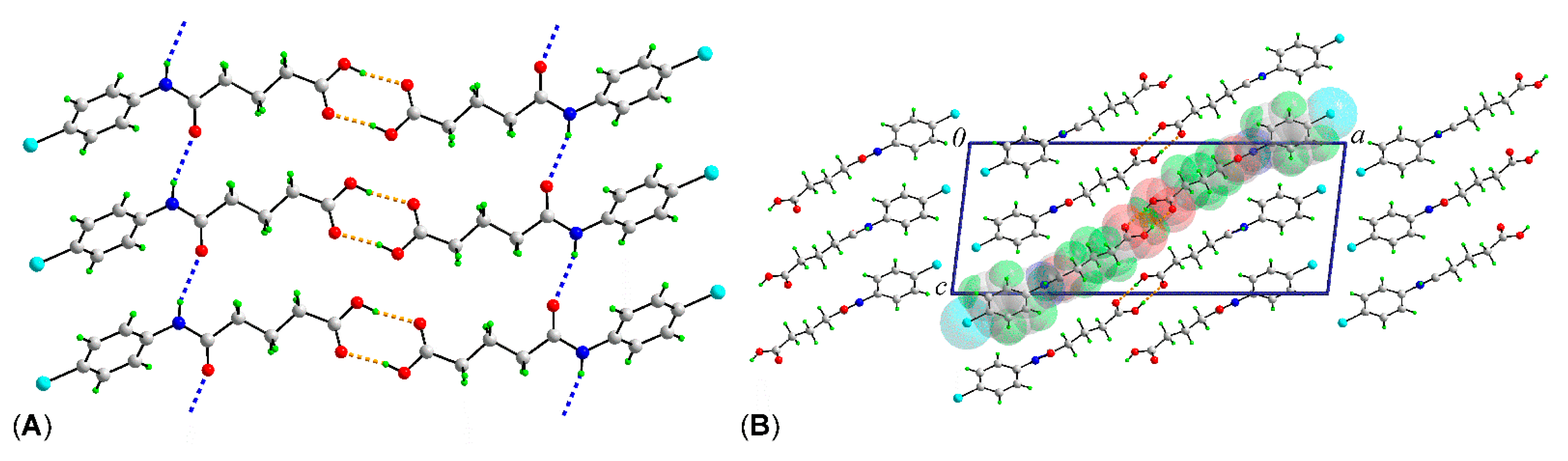 Molbank 2021 m1209 g002