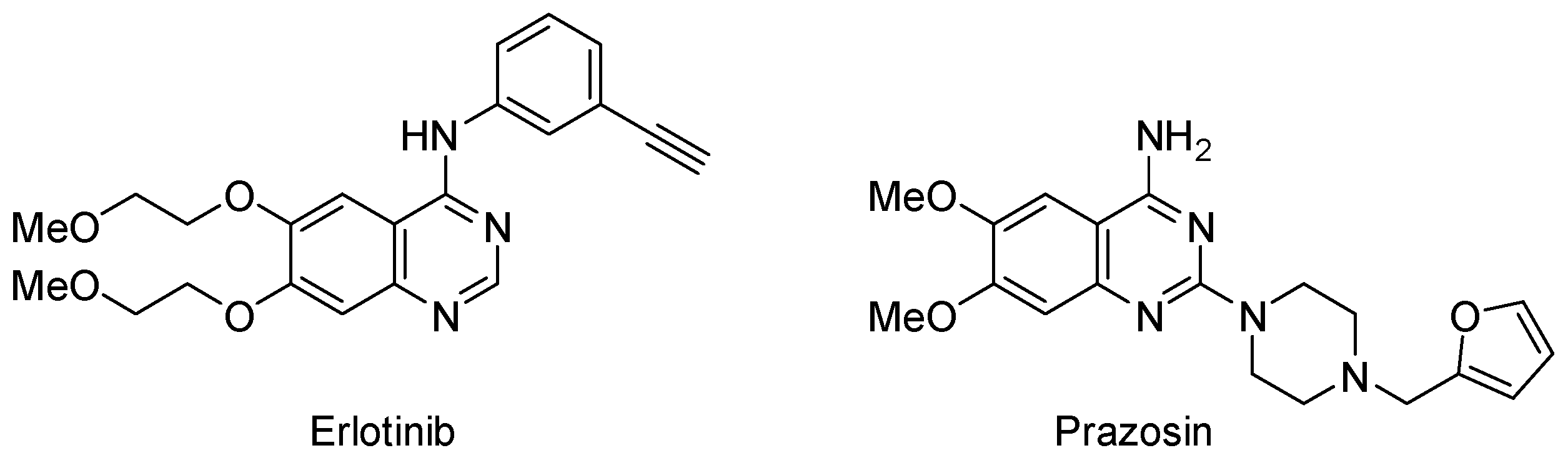Molbank 2021 m1233 g001