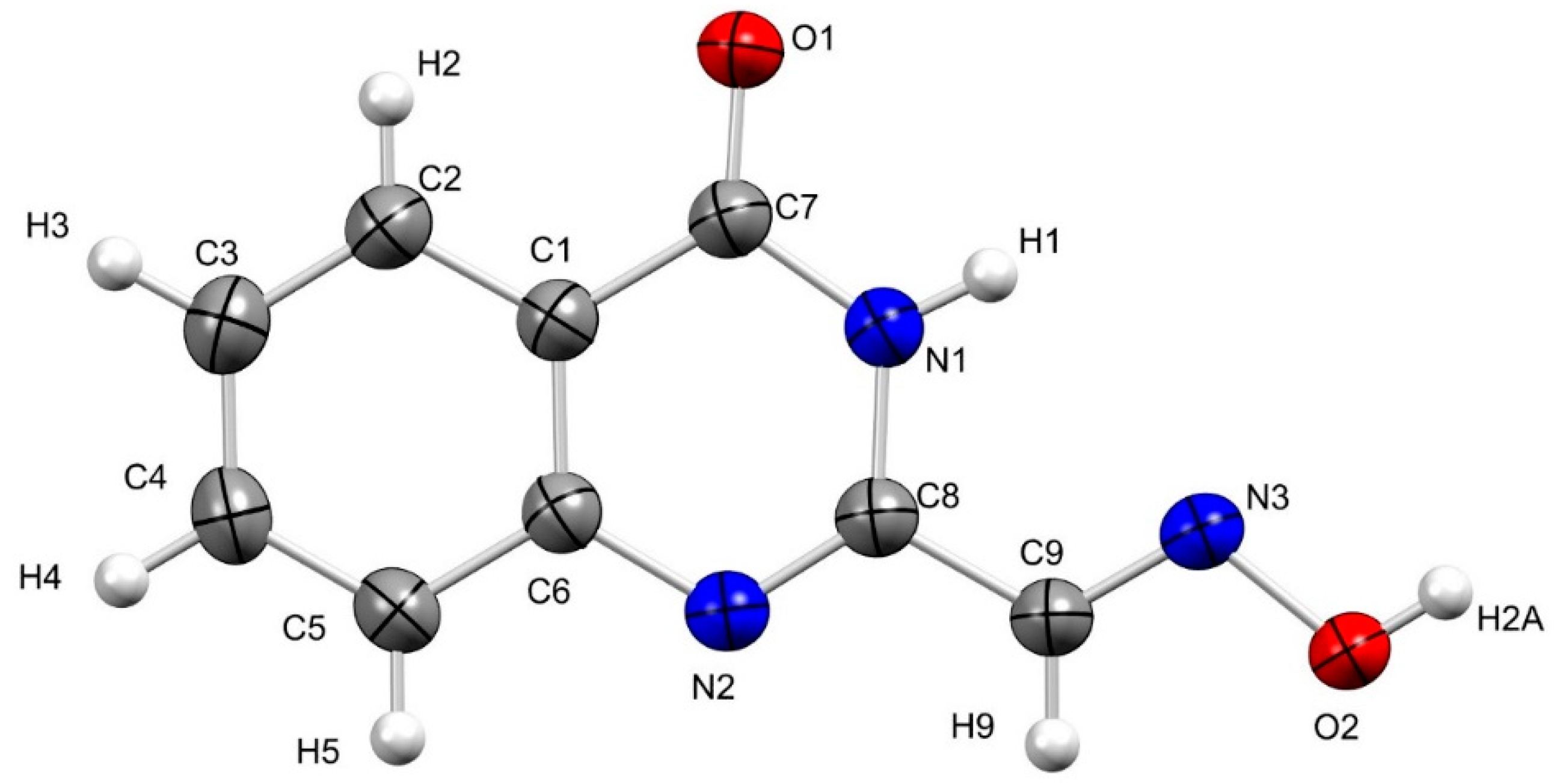 Molbank 2021 m1233 g002