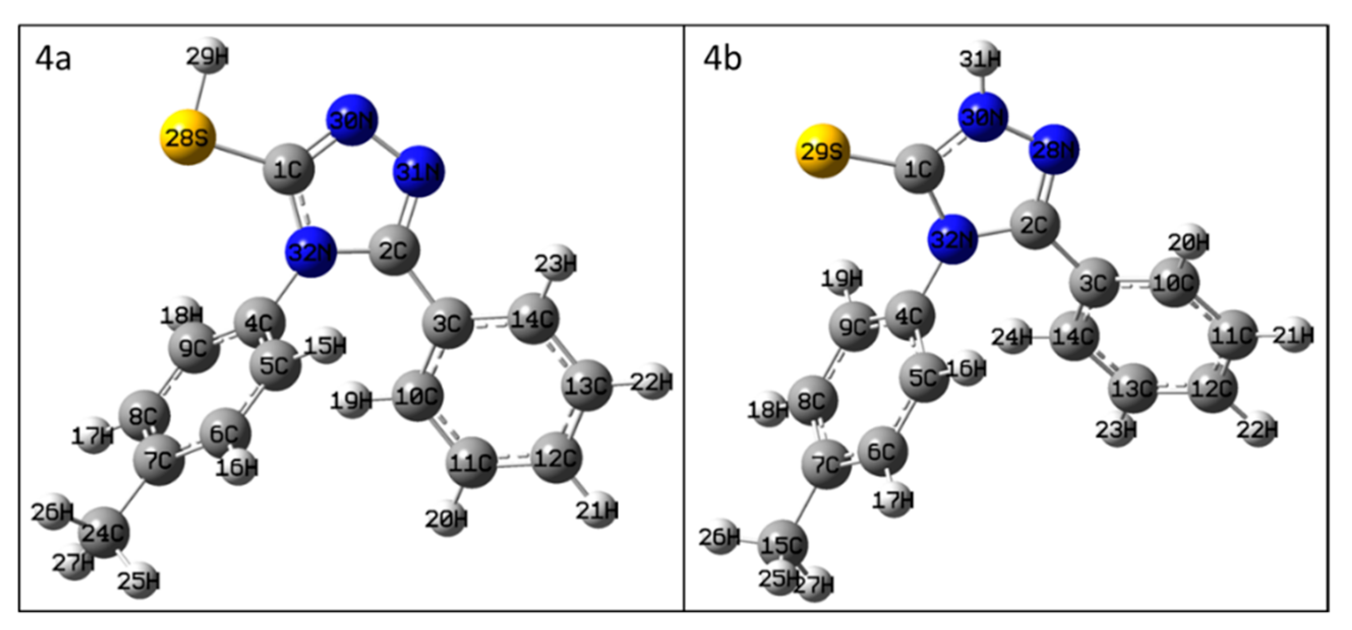 Molbank 2021 m1241 g001 550