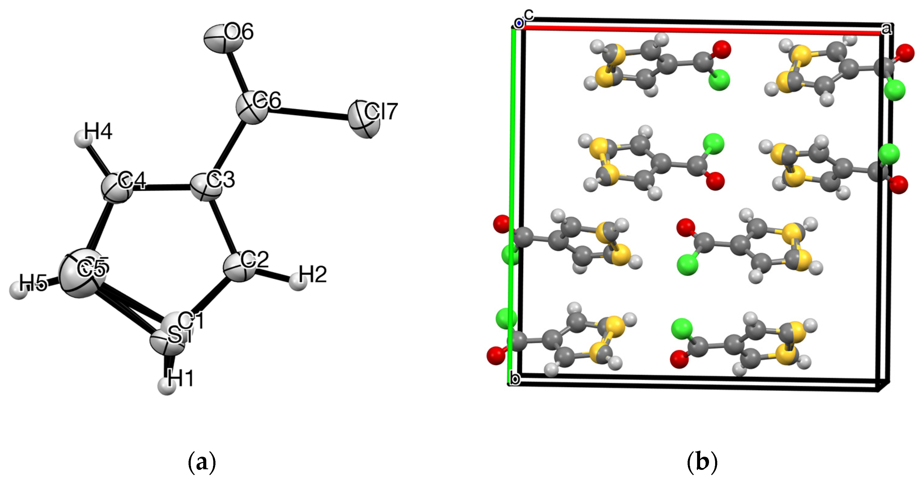 Molbank 2021 m1254 g002