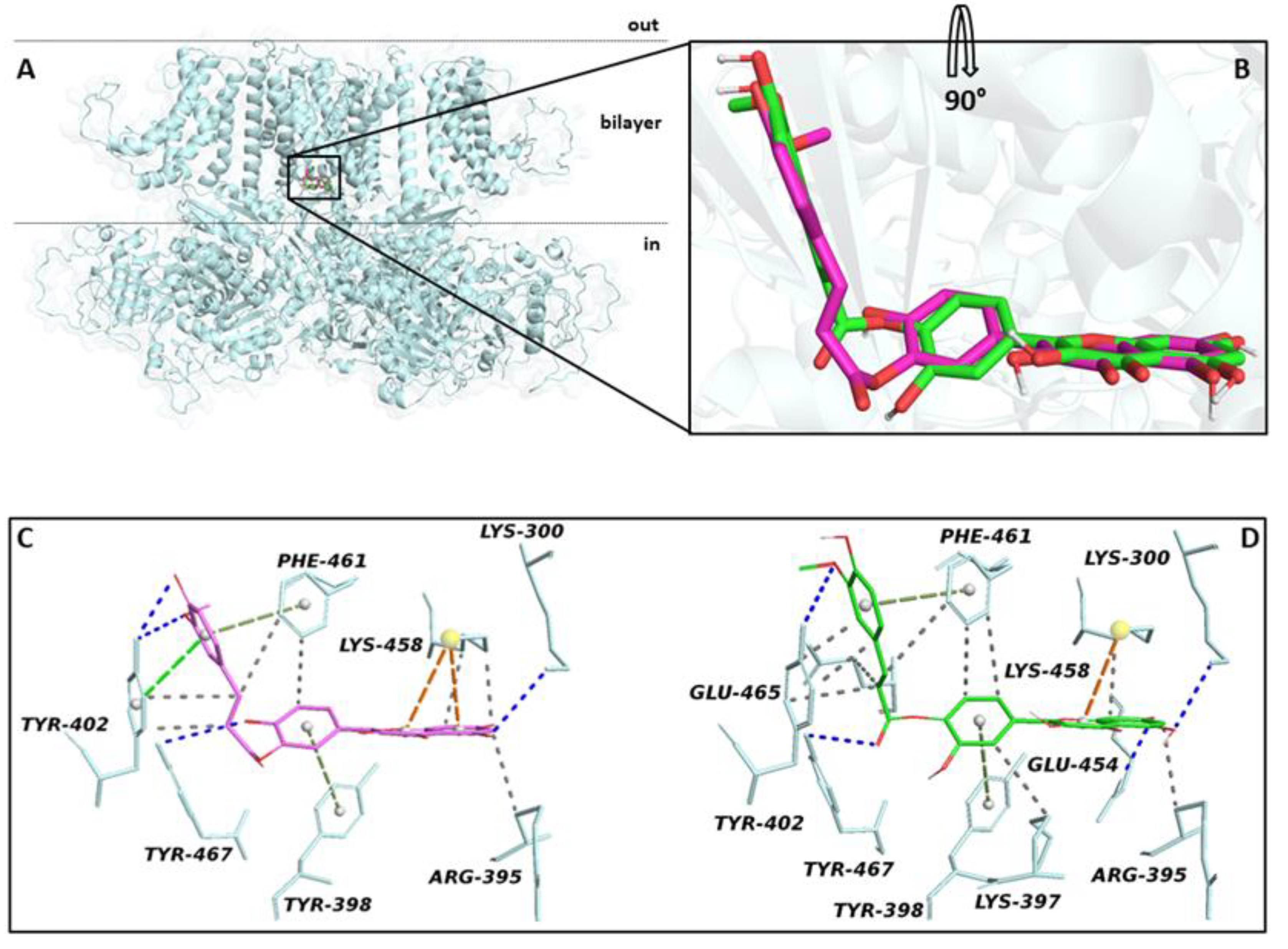 Molbank 2021 m1258 g001 550