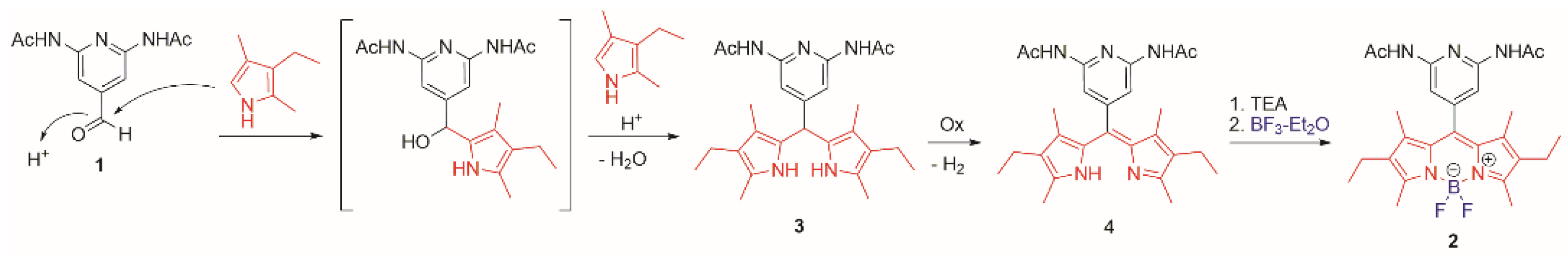 Molbank 2021 m1271 sch002 550