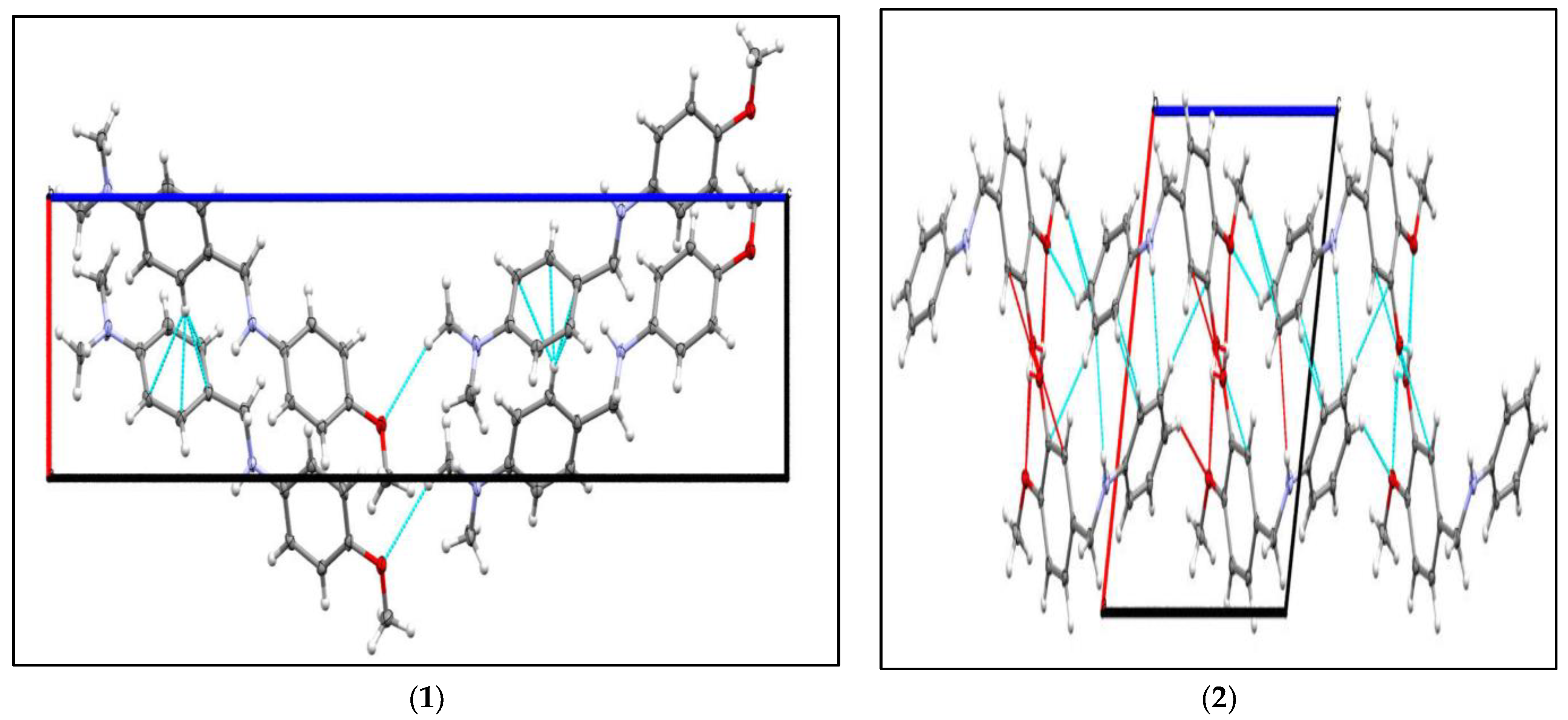 Molbank 2021 m1274 g002