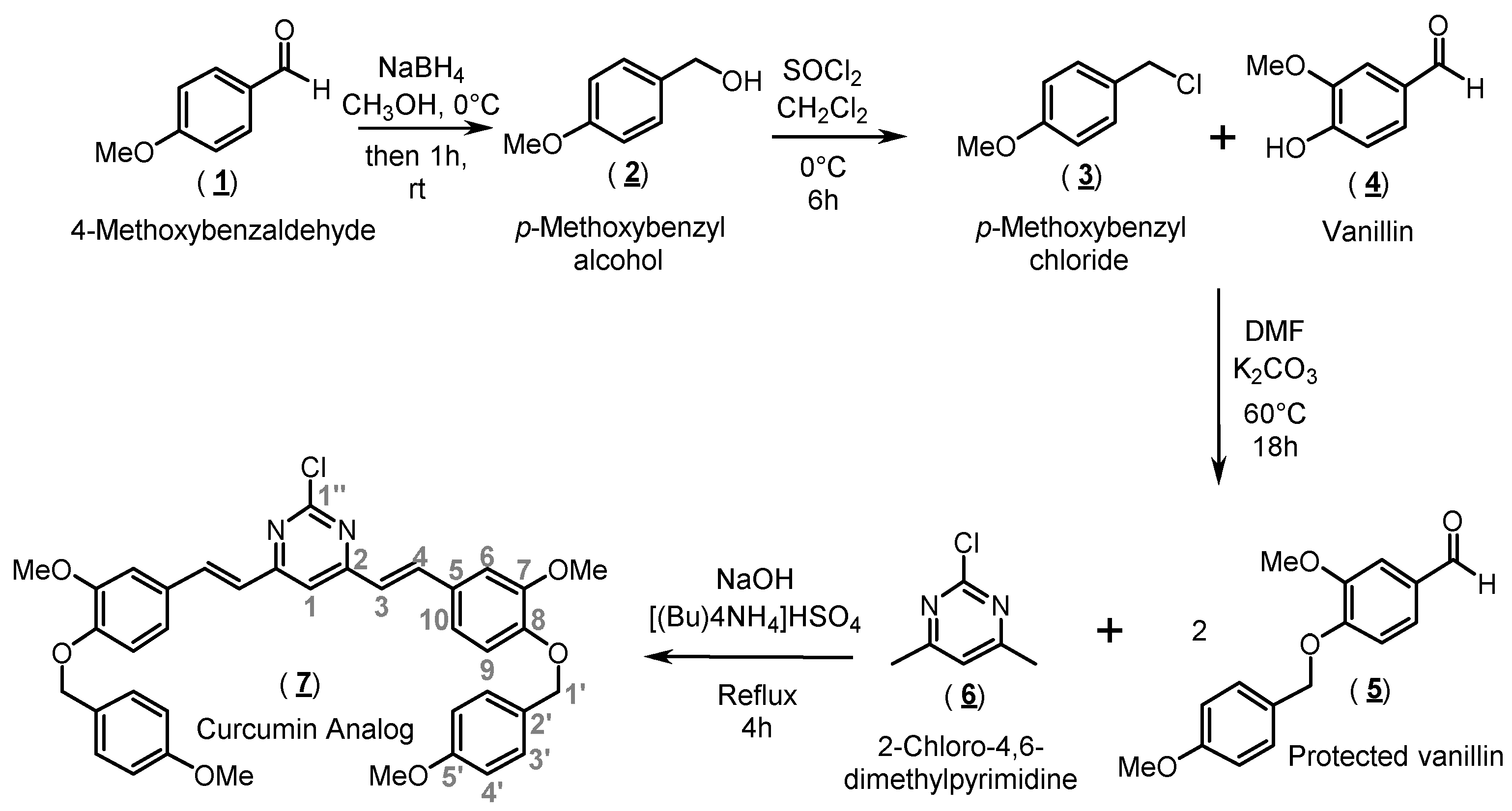 Molbank 2021 m1276 sch001