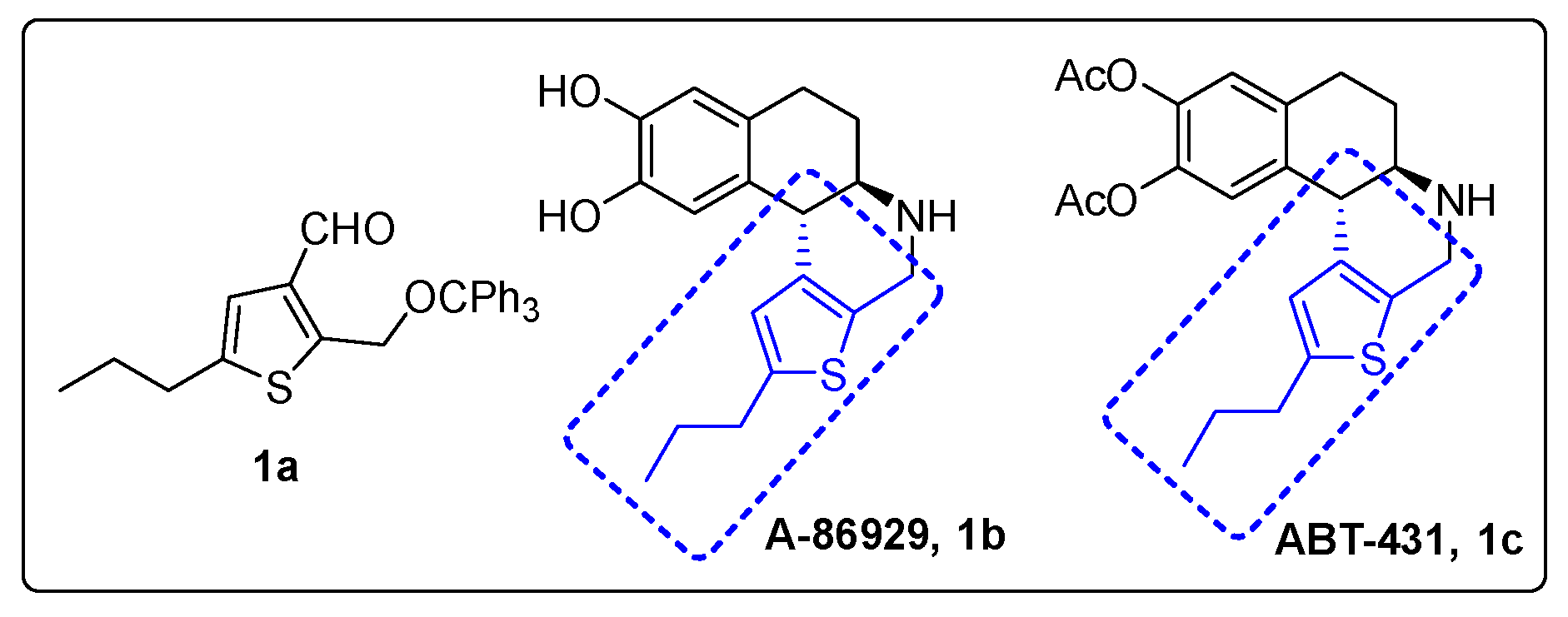Molbank 2021 m1289 g001