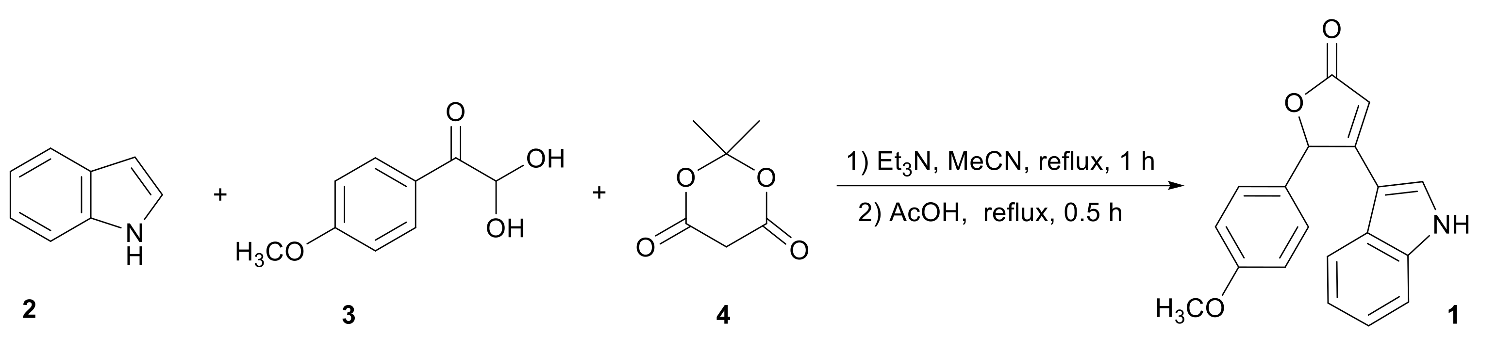 Molbank 2021 m1292 sch001