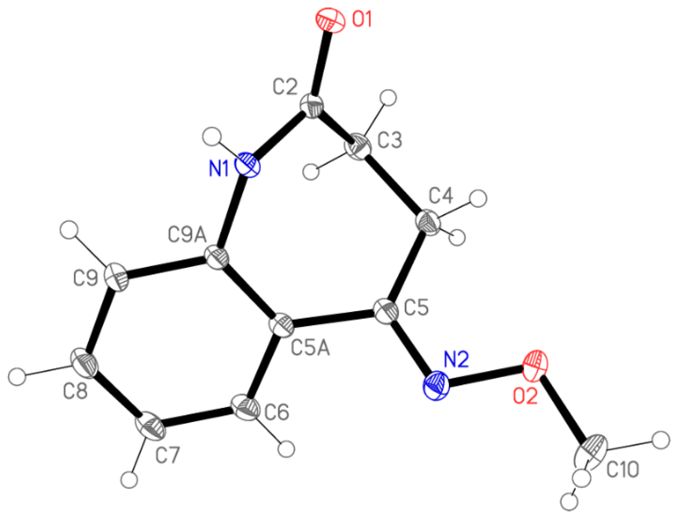 Molbank 2021 m1293 g001