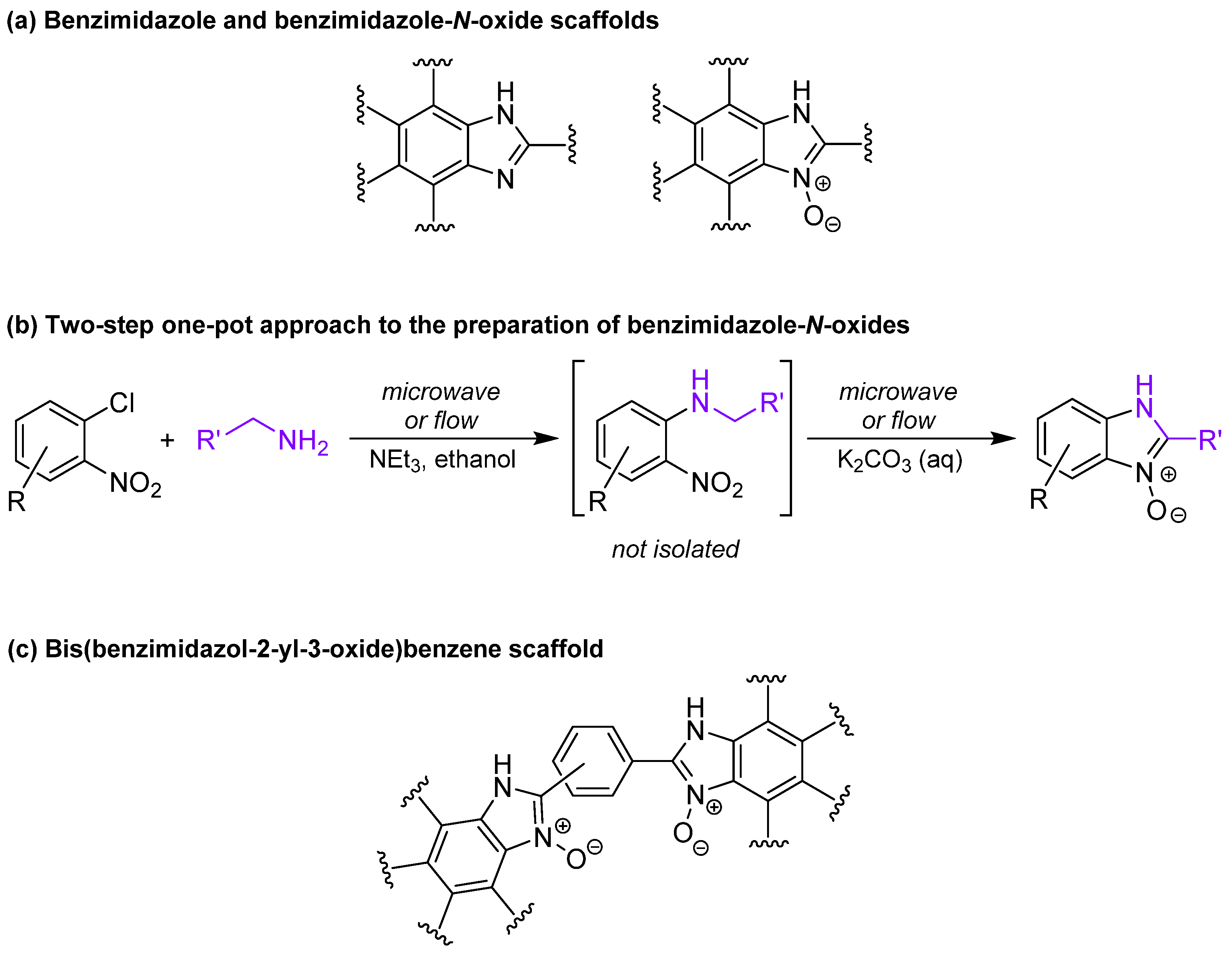 Molbank 2021 m1297 g001