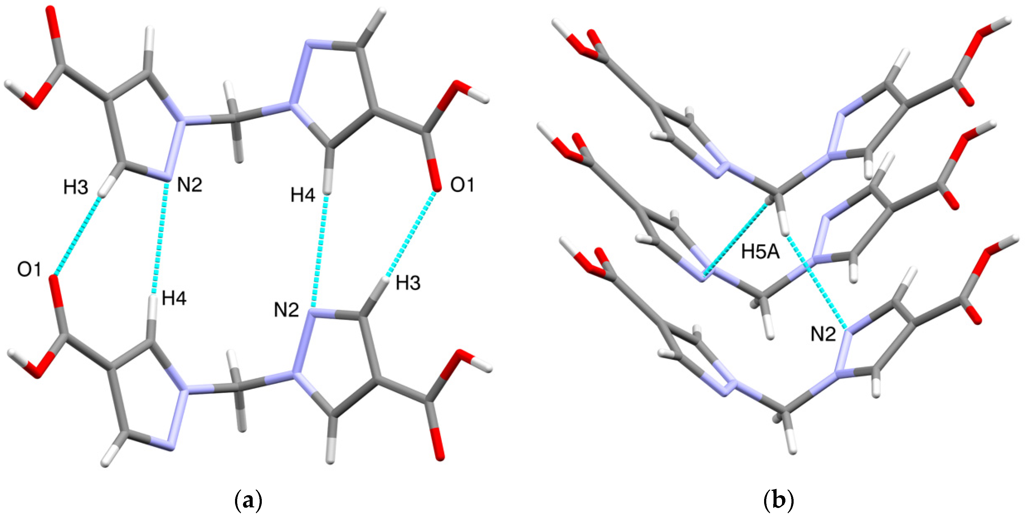 Molbank 2021 m1298 g003a