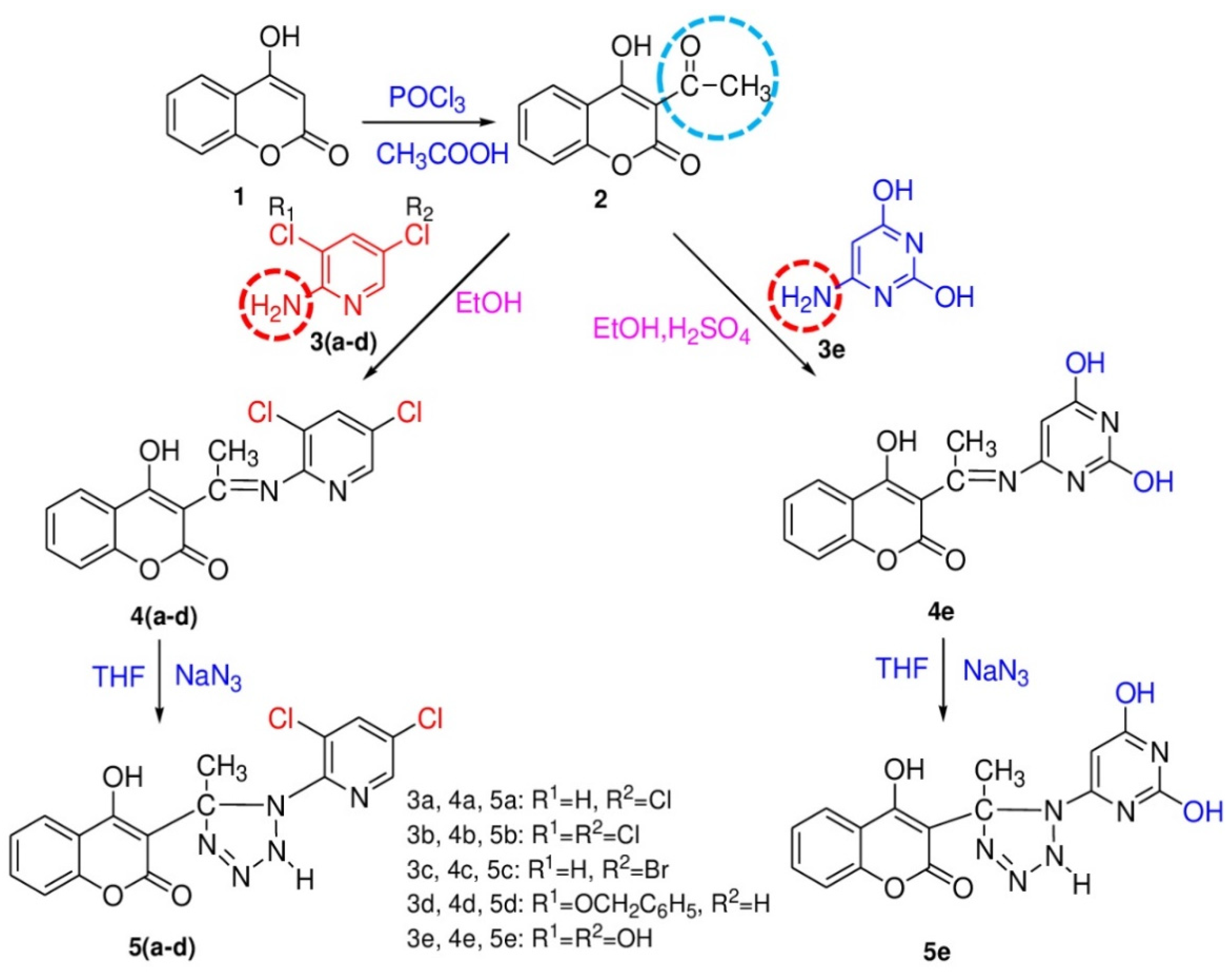 Molbank 2021 m1303 sch001 550