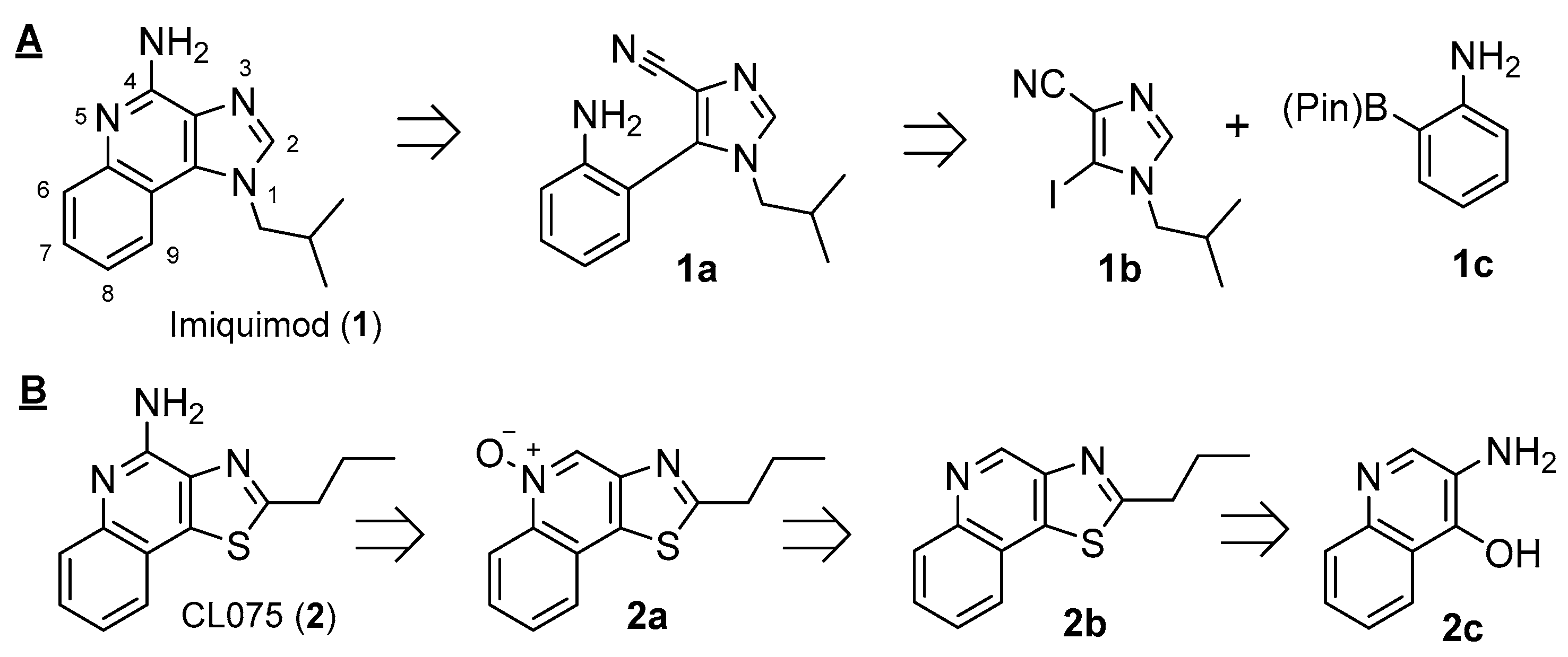 Molbank 2021 m1305 g001 550