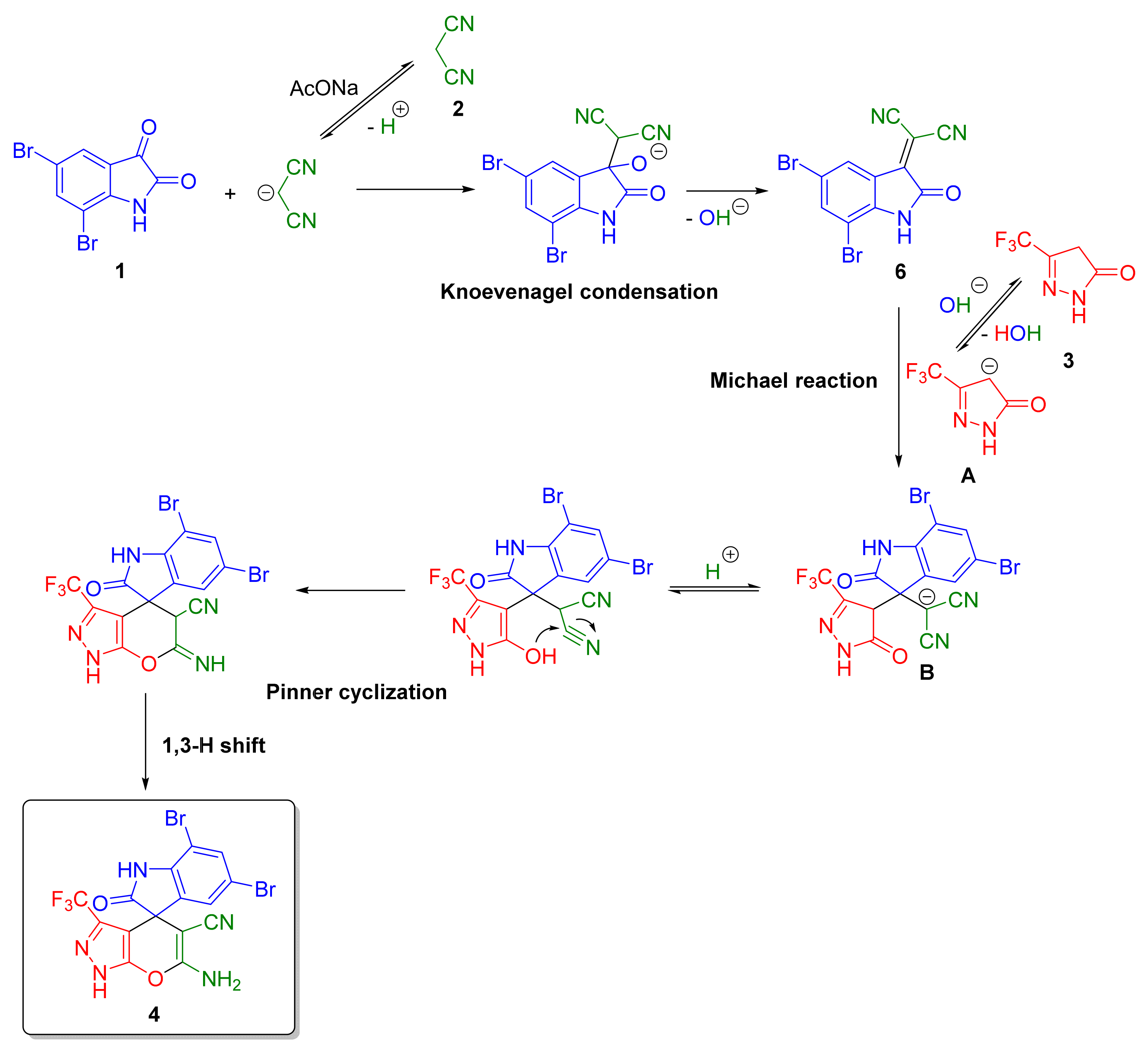 Molbank 2022 m1309 sch003