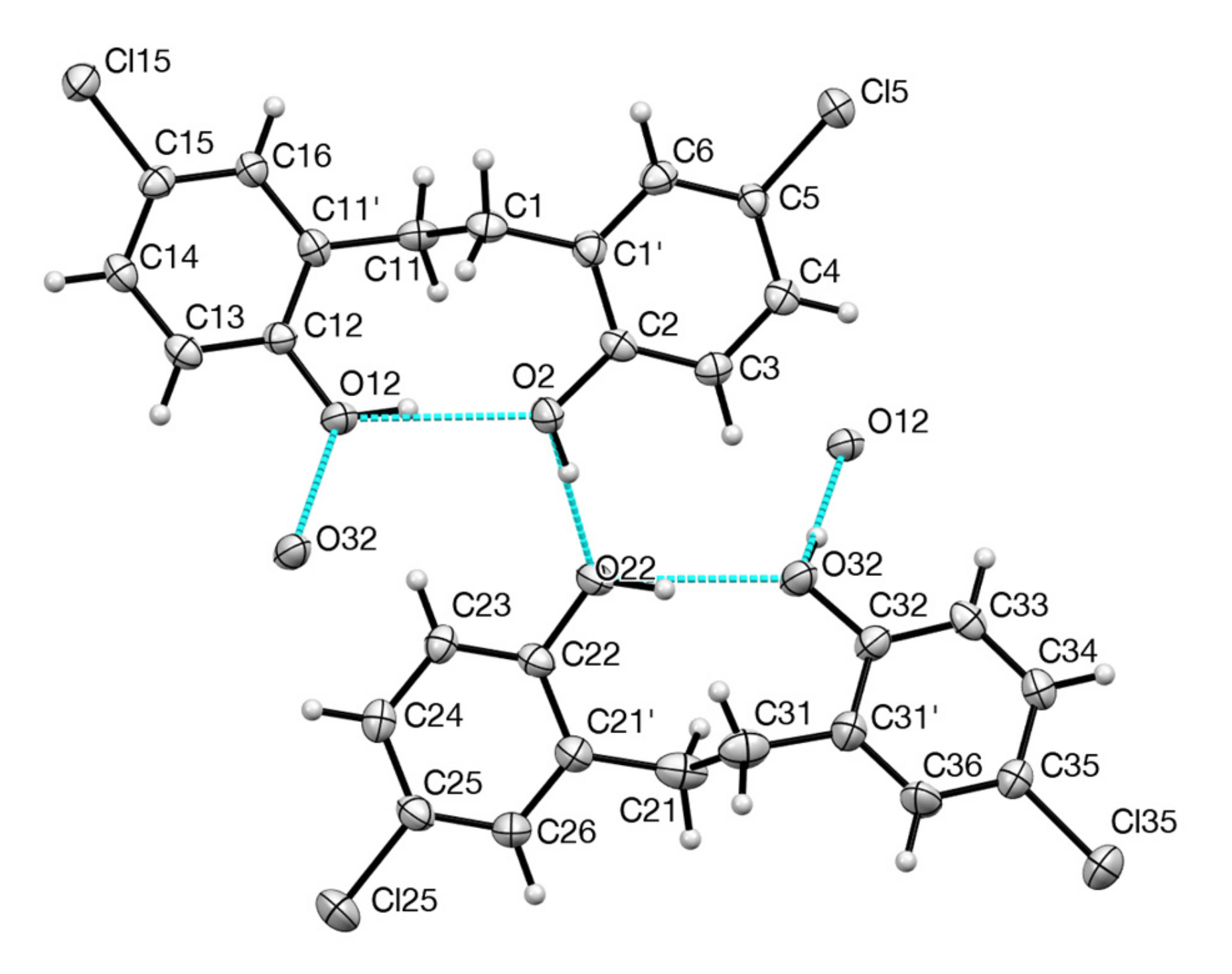 Molbank 2022 m1318 g002