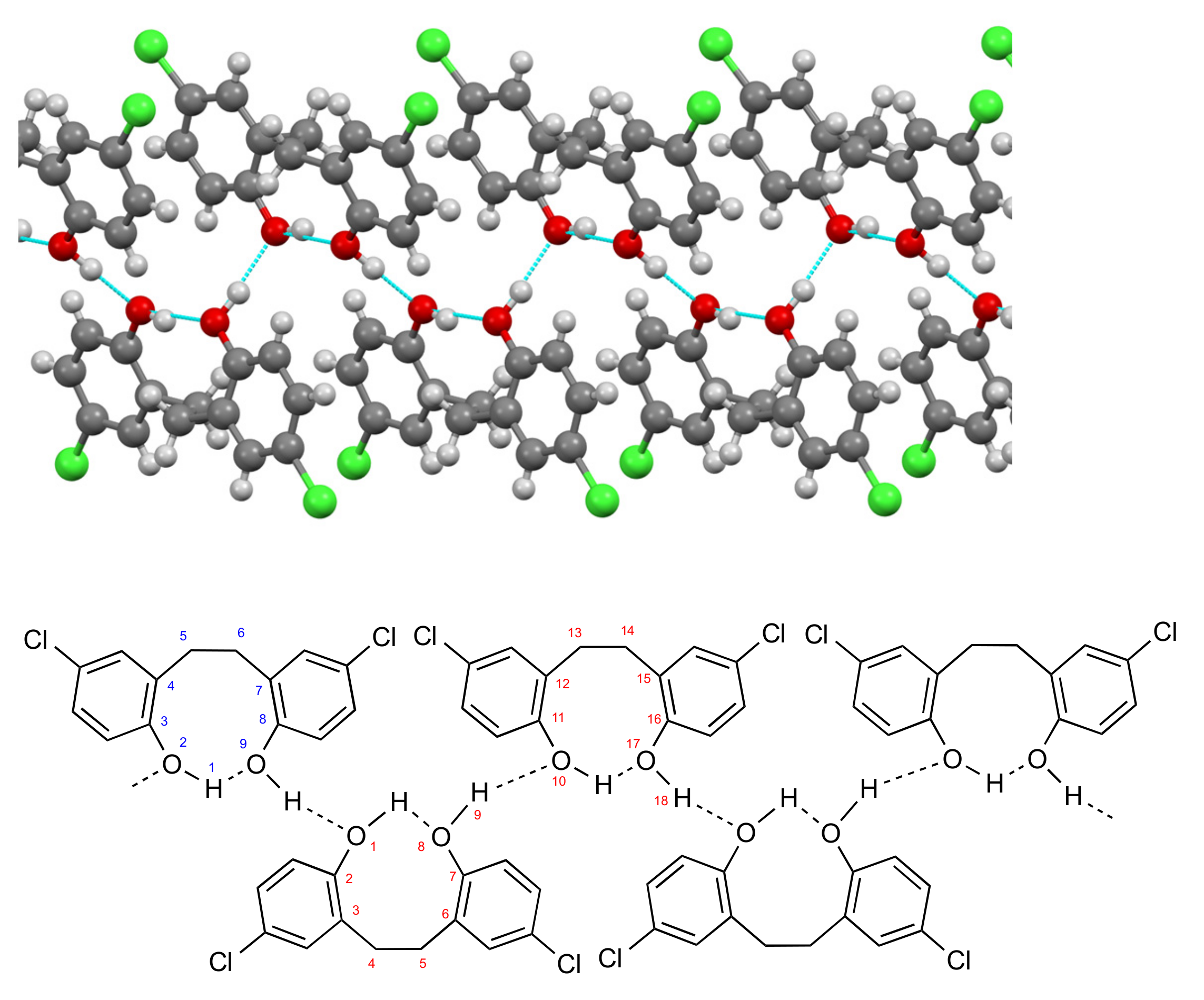 Molbank 2022 m1318 g004